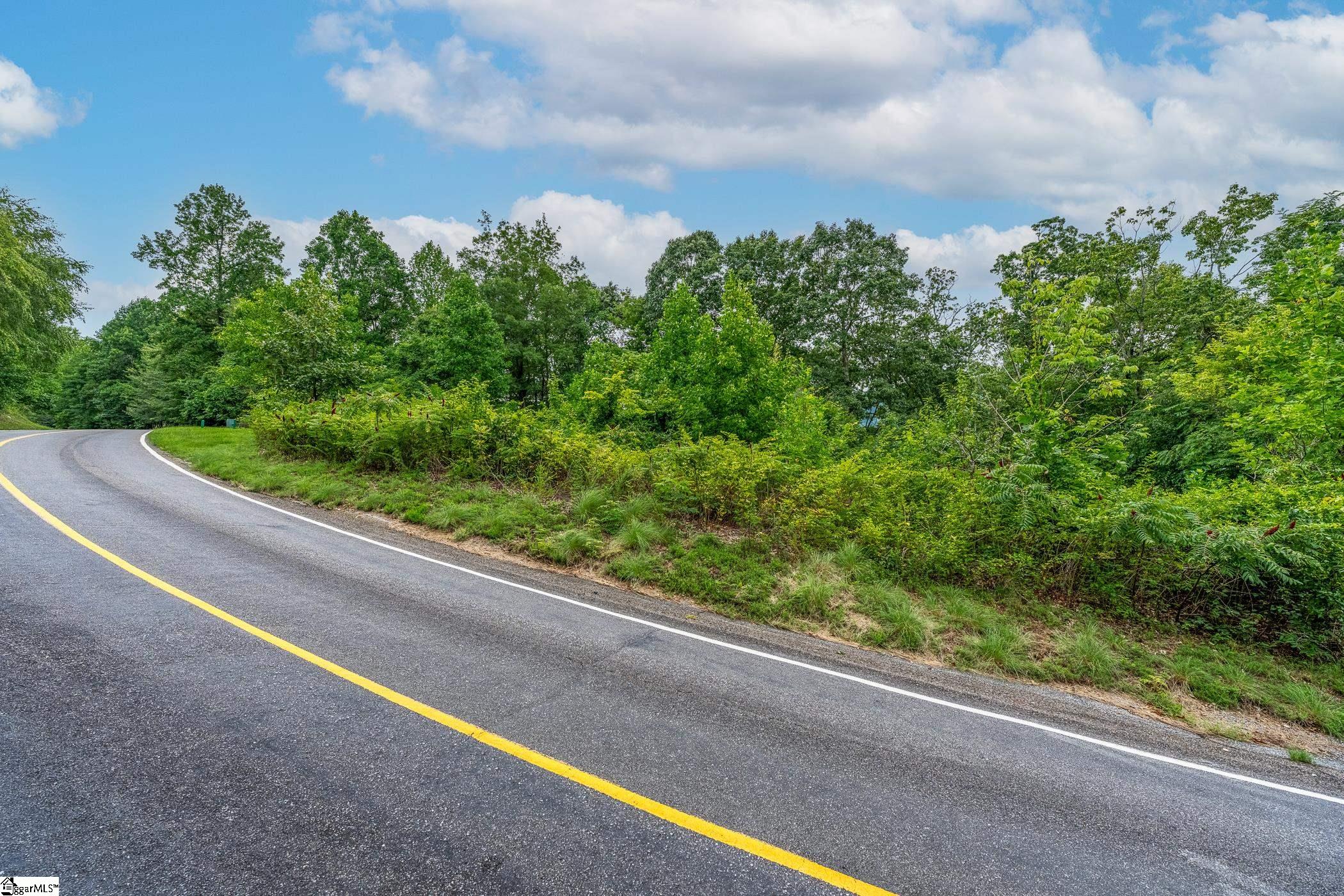 Foggy Cut Lane Landrum, SC 29356-3329