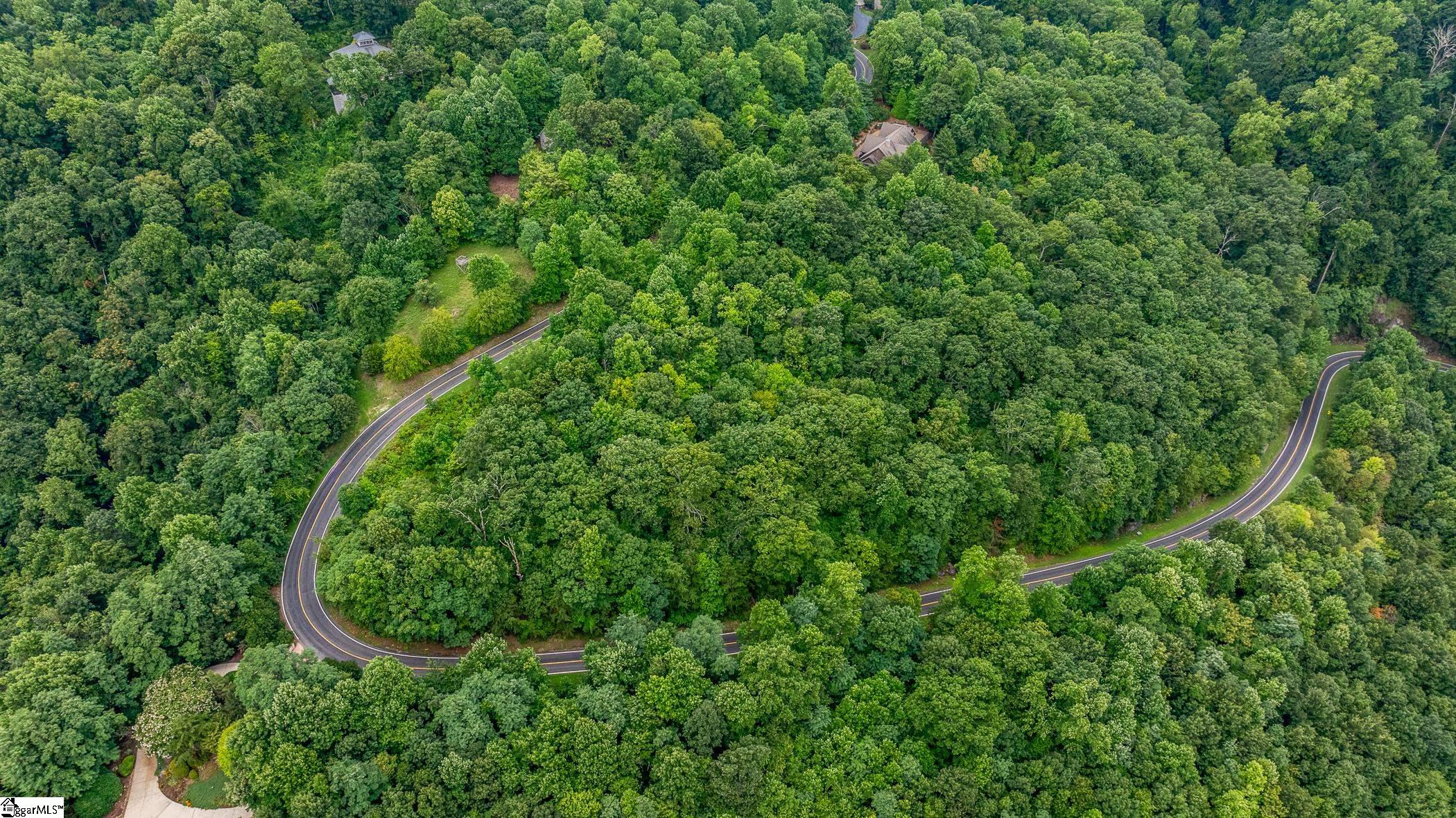 Foggy Cut Lane Landrum, SC 29356-3329