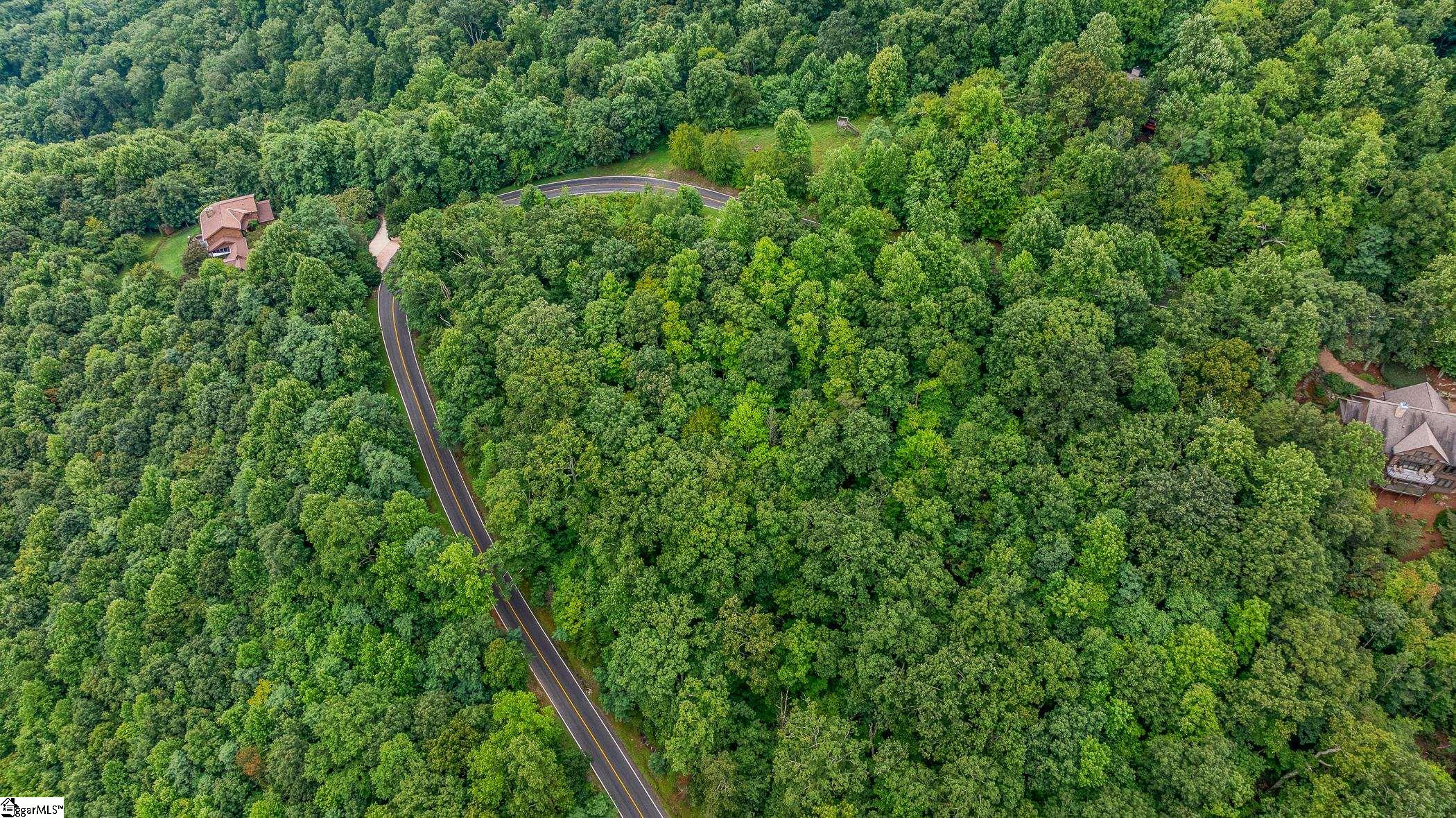 Foggy Cut Lane Landrum, SC 29356-3329