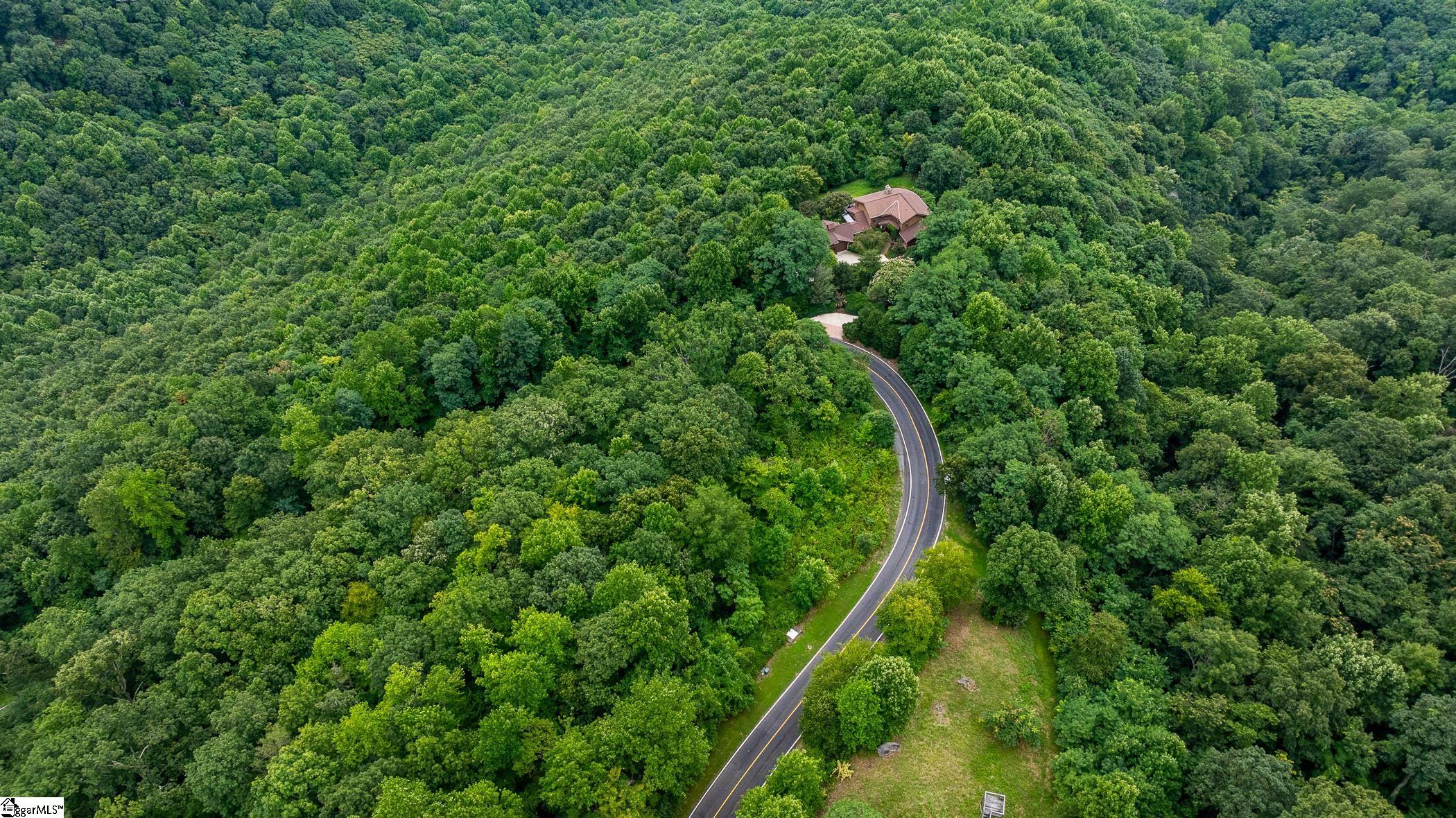 Foggy Cut Lane Landrum, SC 29356-3329