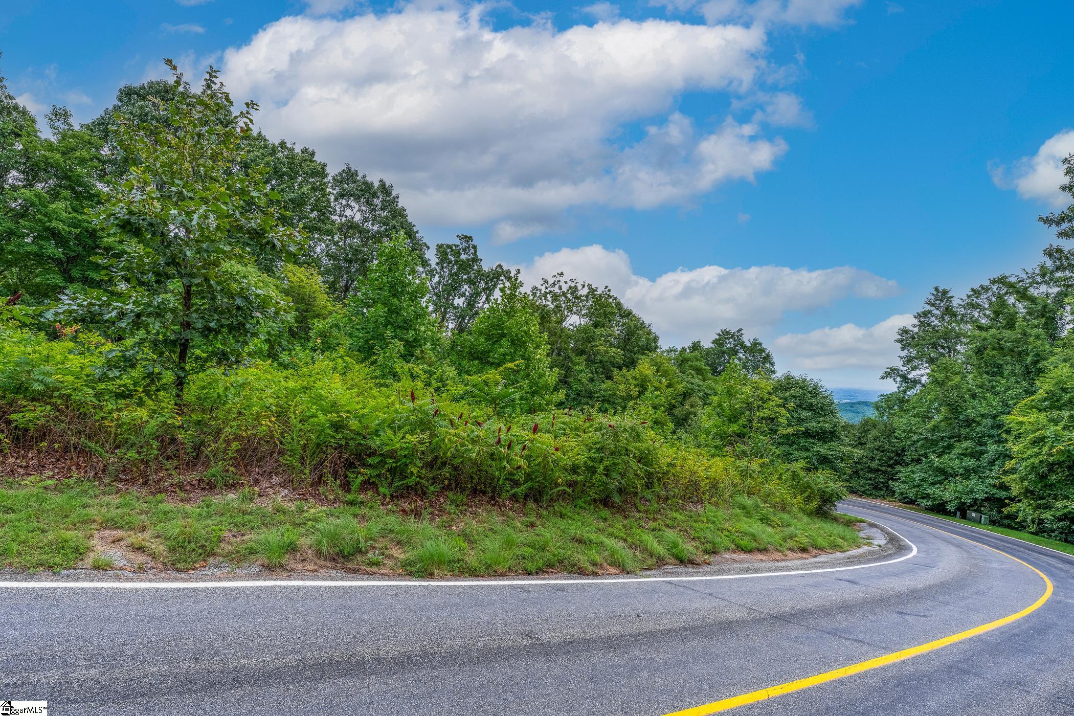 Foggy Cut Lane Landrum, SC 29356-3329