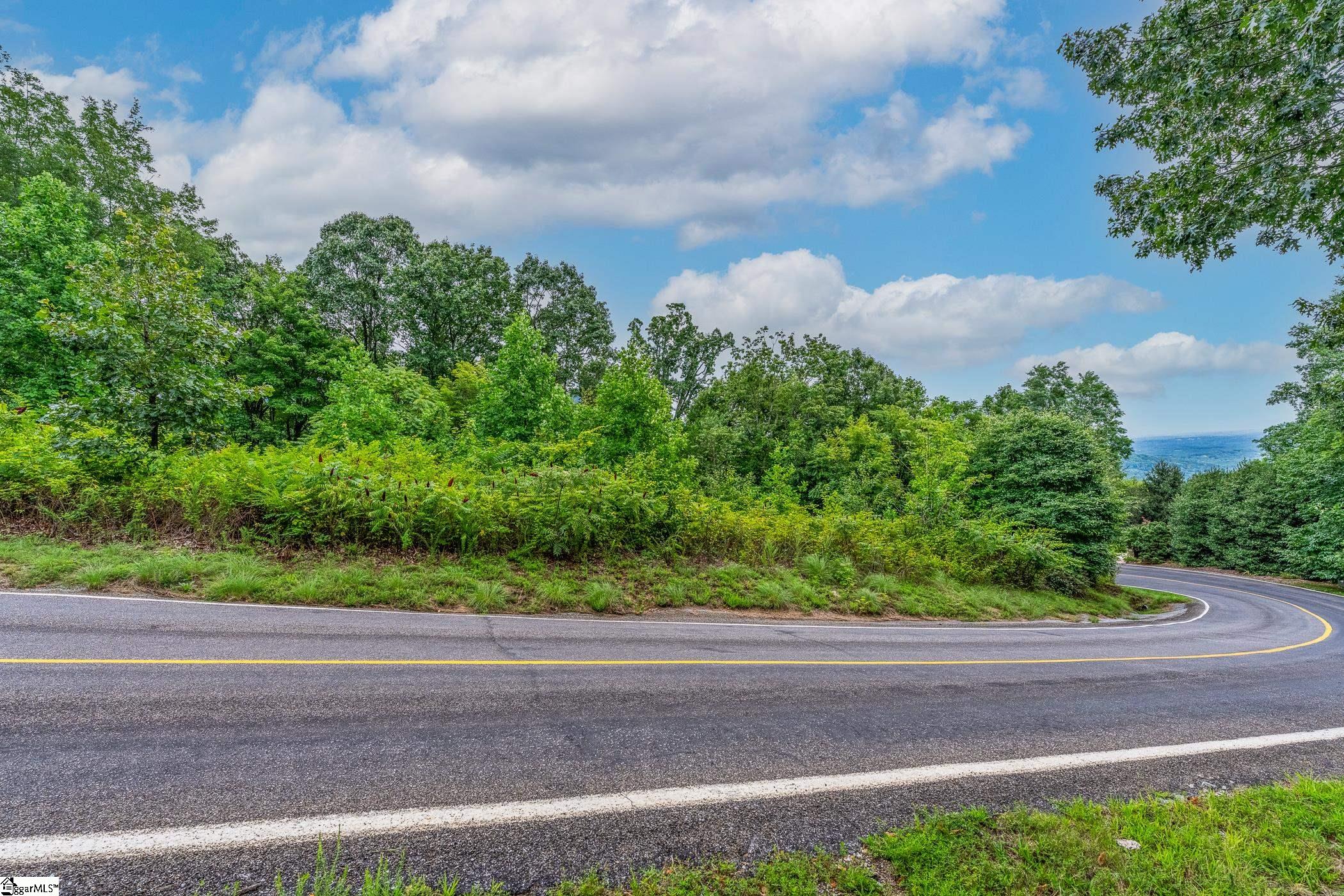 Foggy Cut Lane Landrum, SC 29356-3329