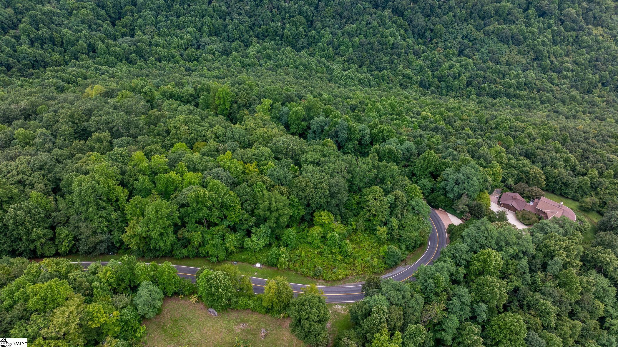 Foggy Cut Lane Landrum, SC 29356-3329