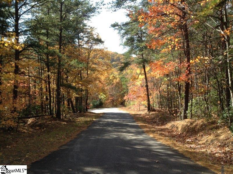 Hidden Glory Drive Landrum, SC 29356