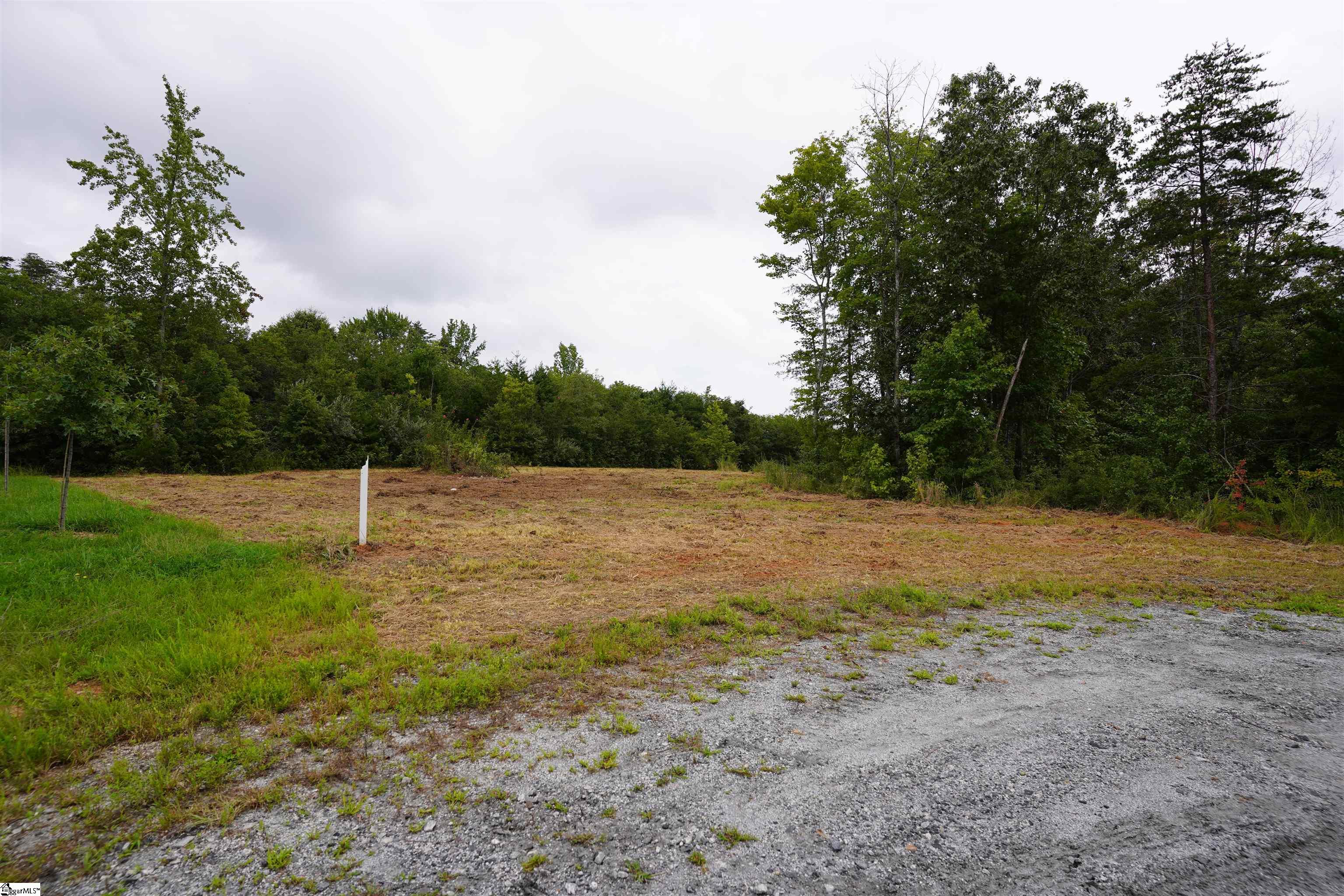 641 Ambling Gait Court Campobello, SC 29322