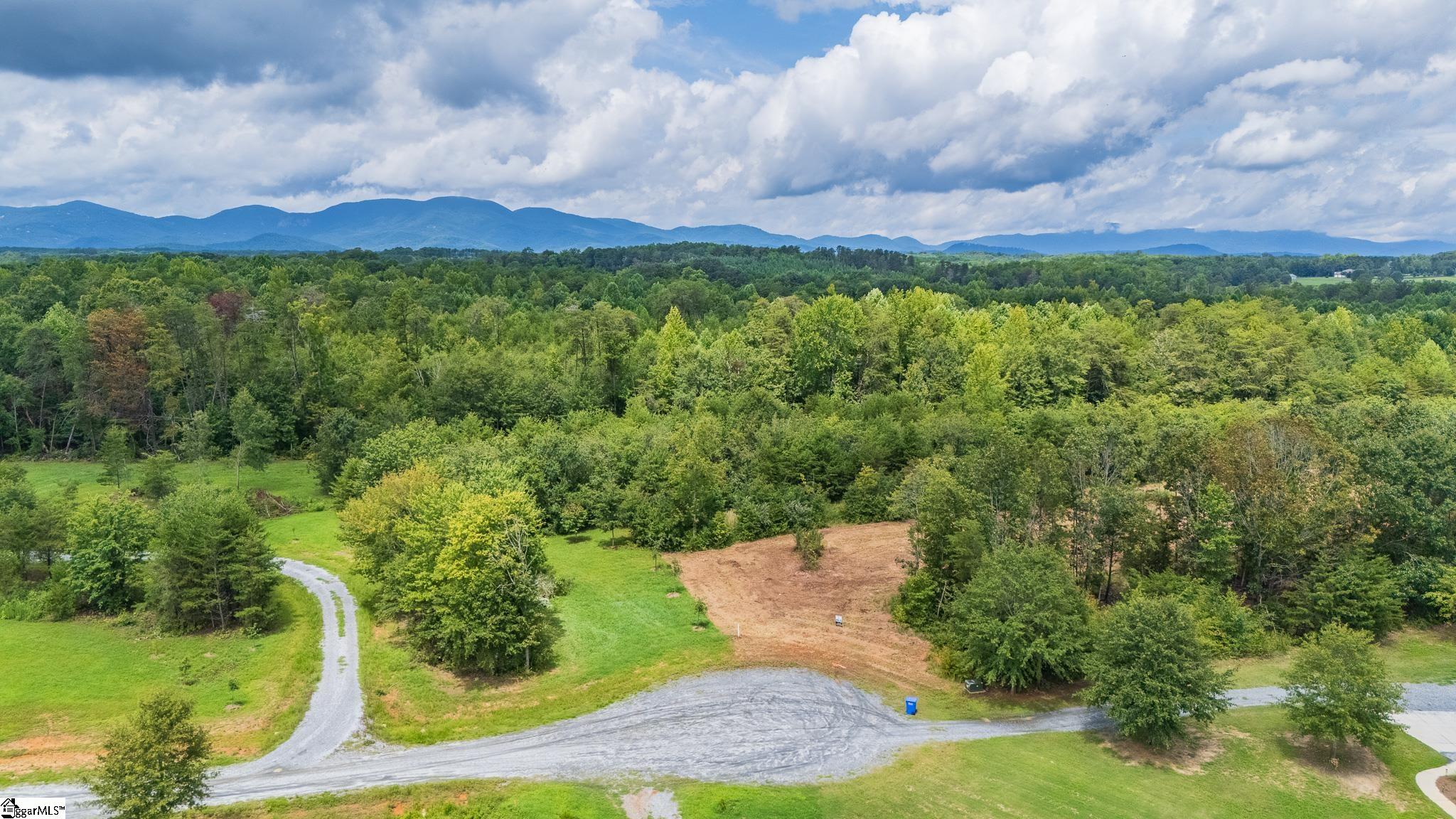 641 Ambling Gait Court Campobello, SC 29322