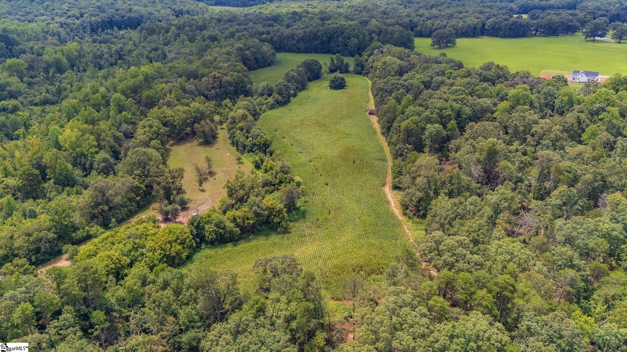 3961 Forrester Road Greer, SC 29651
