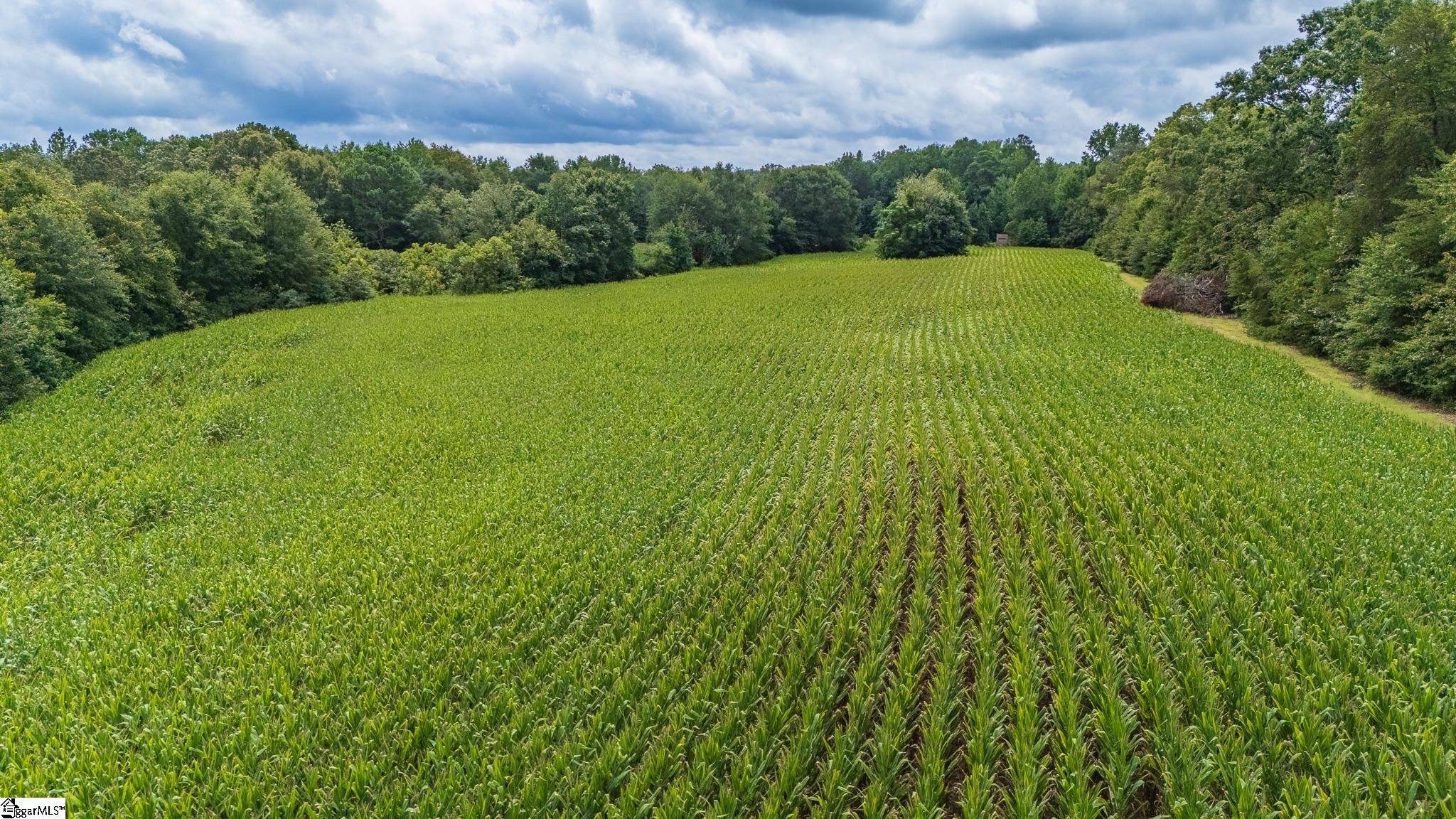 3961 Forrester Road Greer, SC 29651