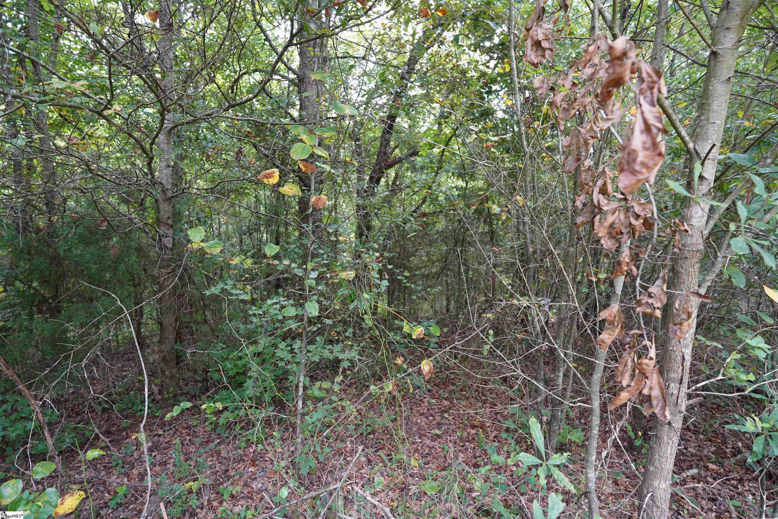 3961 Forrester Road Greer, SC 29651