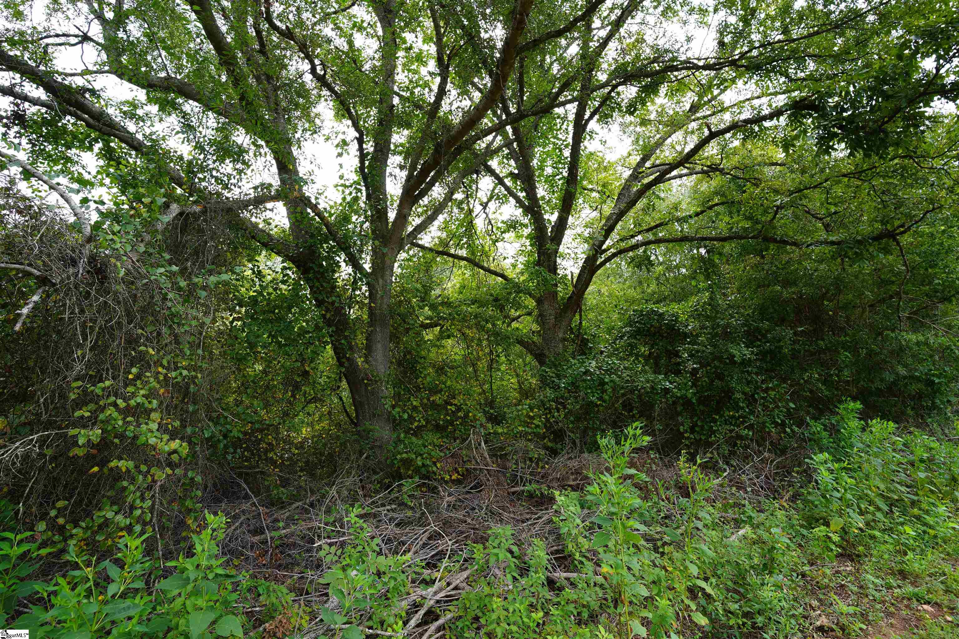 3961 Forrester Road Greer, SC 29651