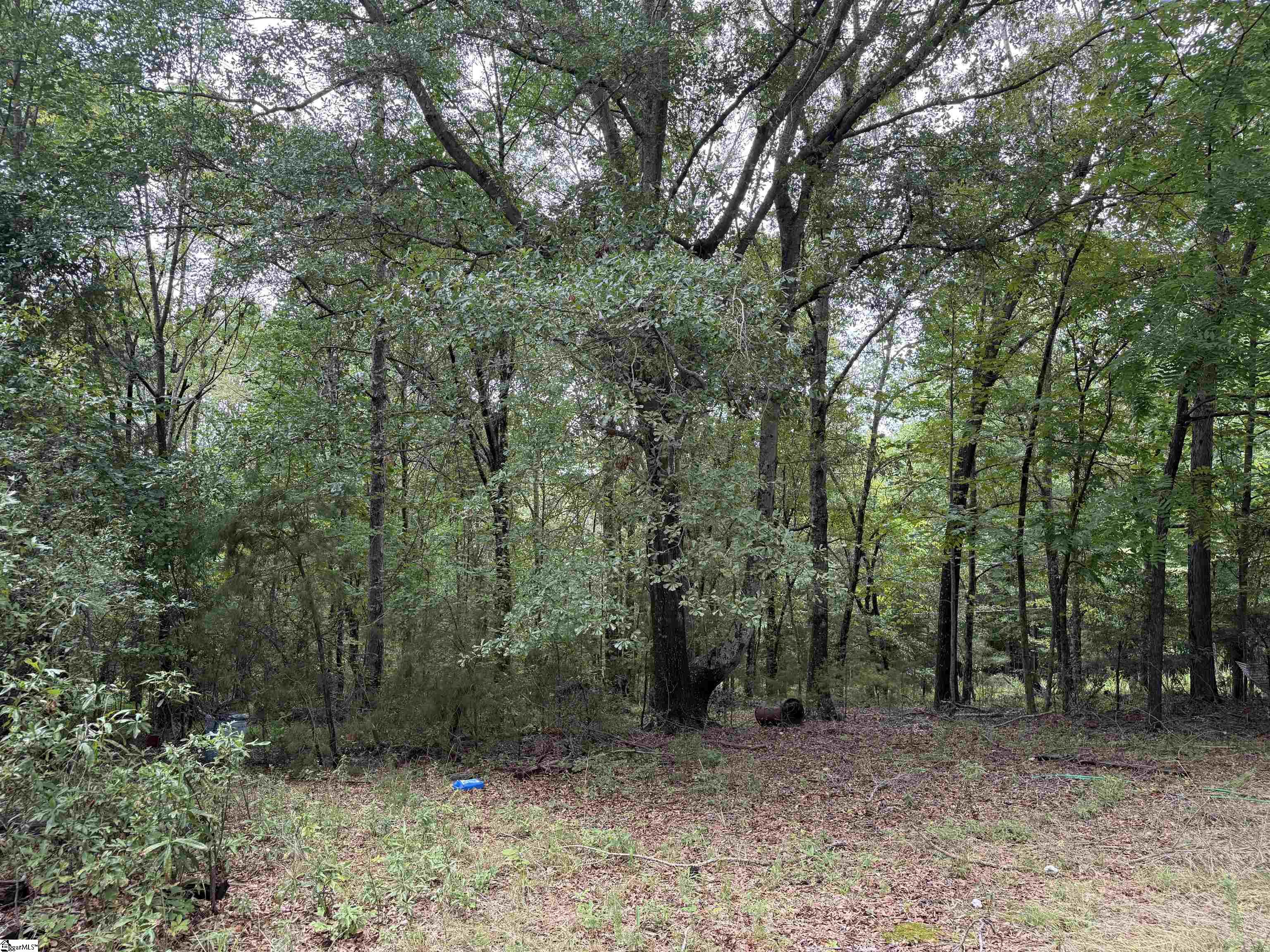 518 Dalton Road Piedmont, SC 29673