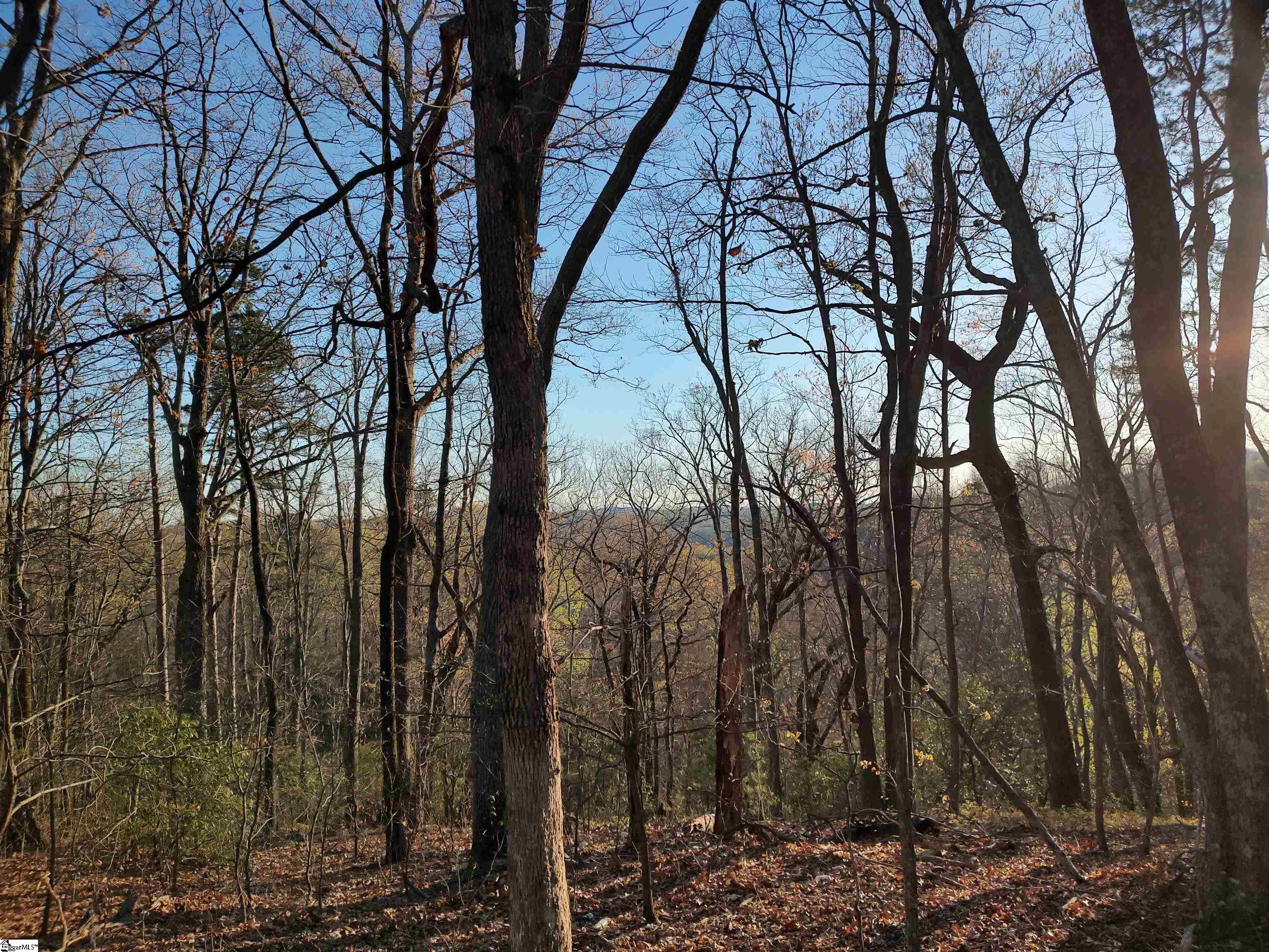 122 Glassy Falls Trail Travelers Rest, SC 29690