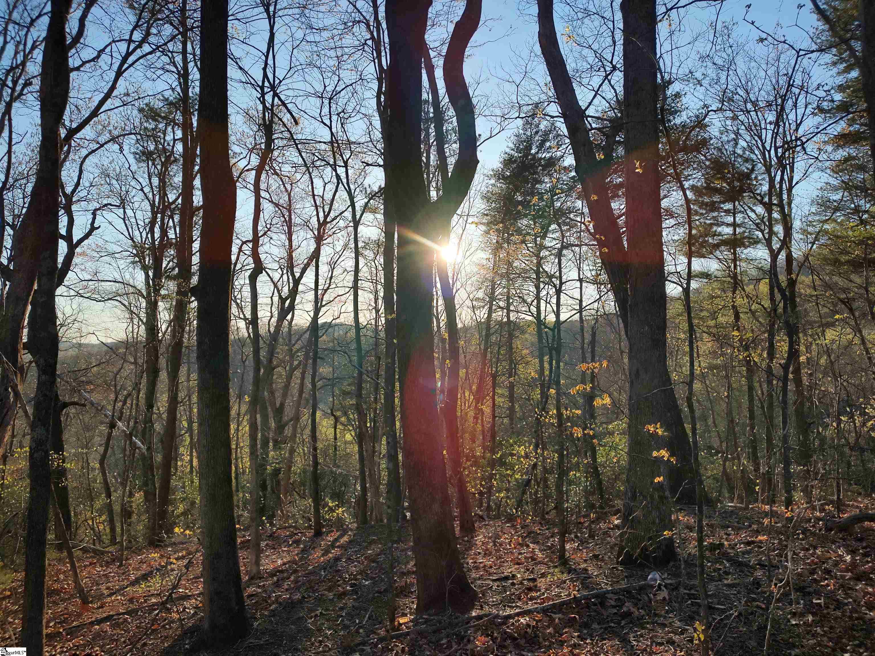 122 Glassy Falls Trail Travelers Rest, SC 29690