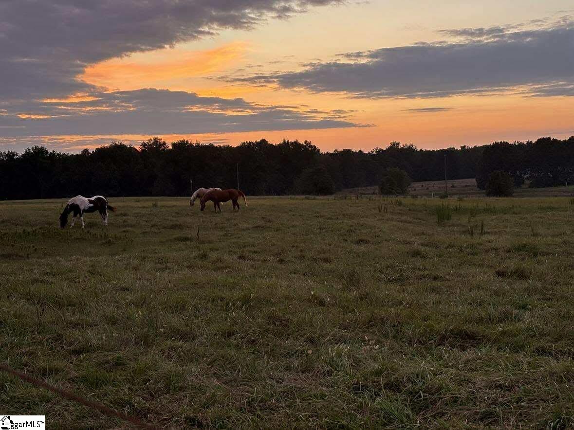 00 Docheno Road Belton, SC 29627