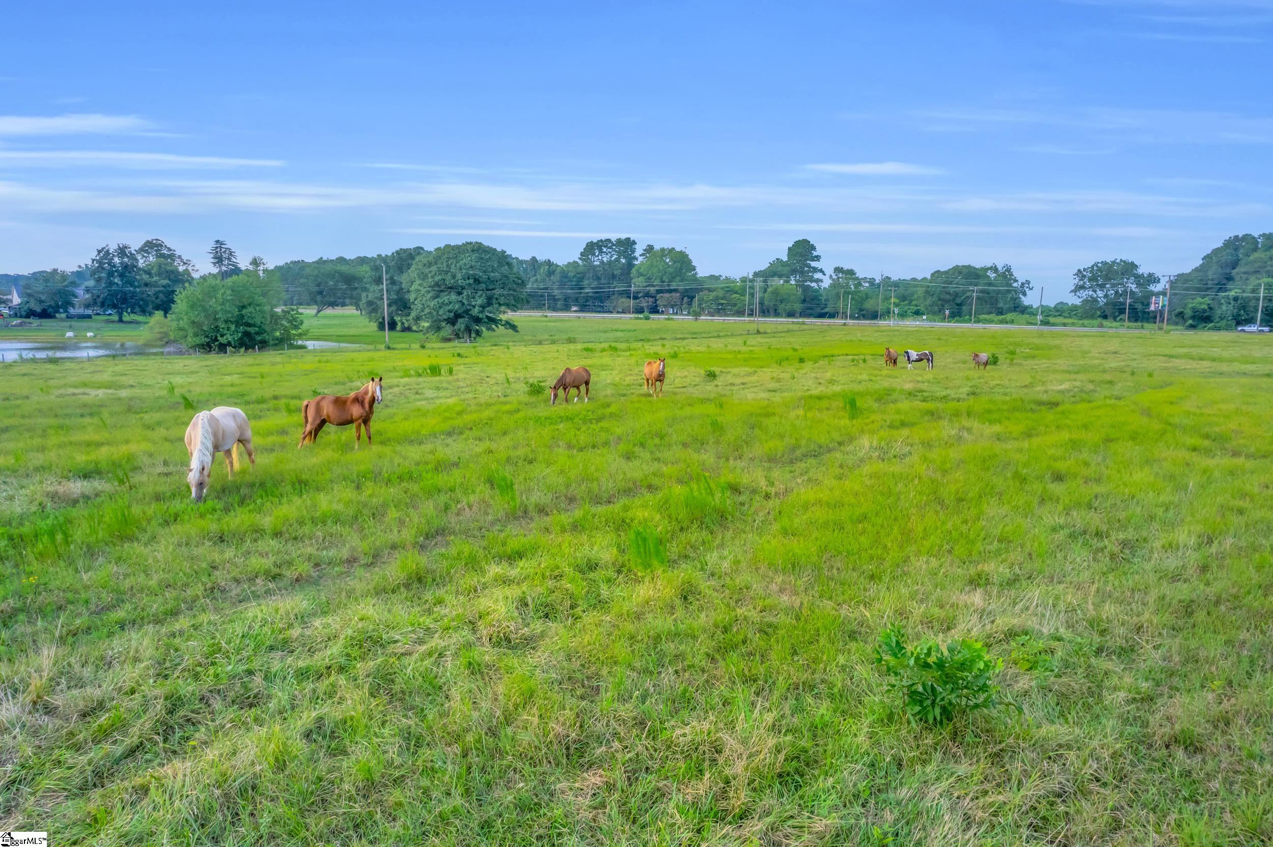 00 Docheno Road Belton, SC 29627