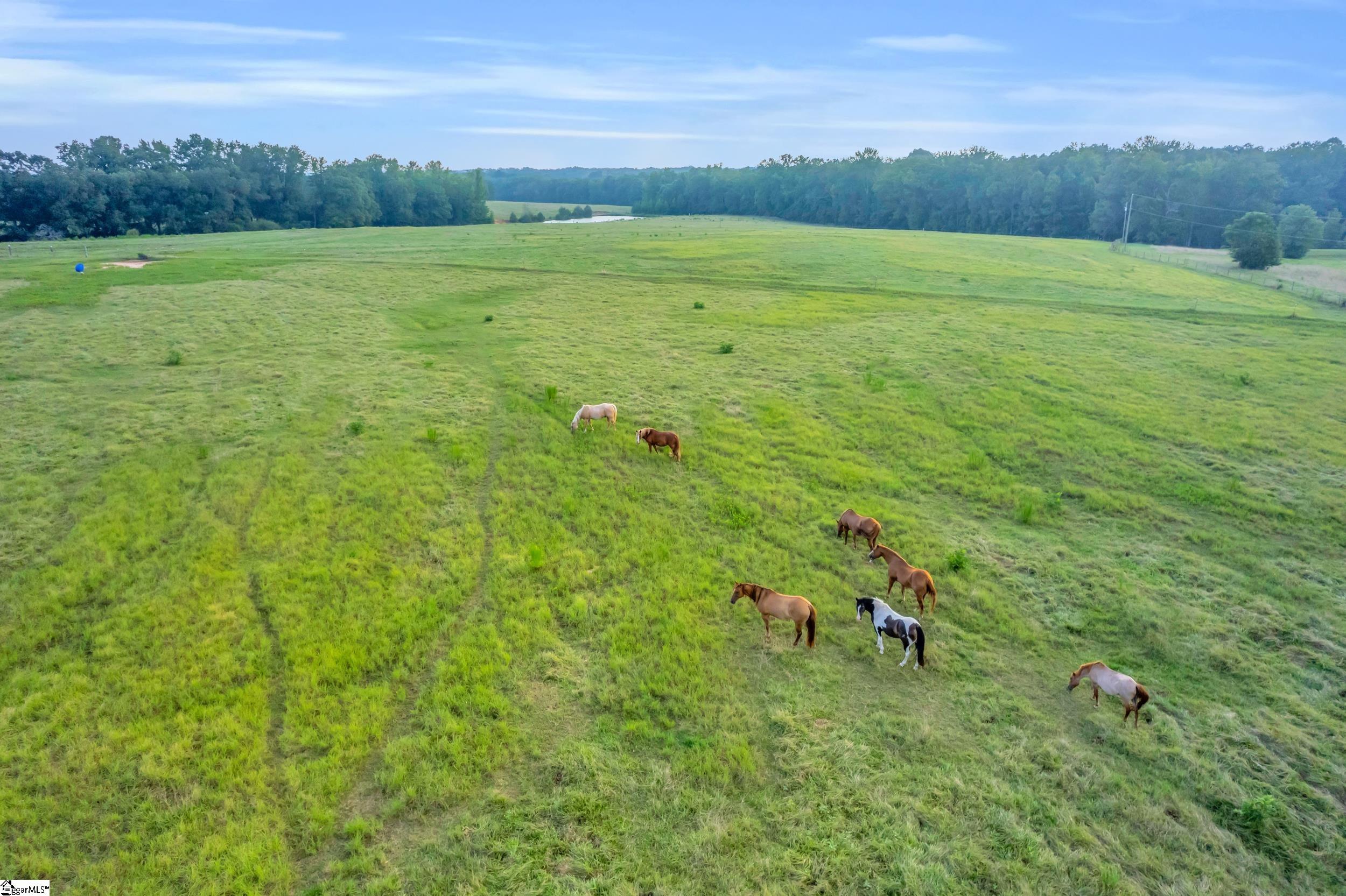 00 Docheno Road Belton, SC 29627