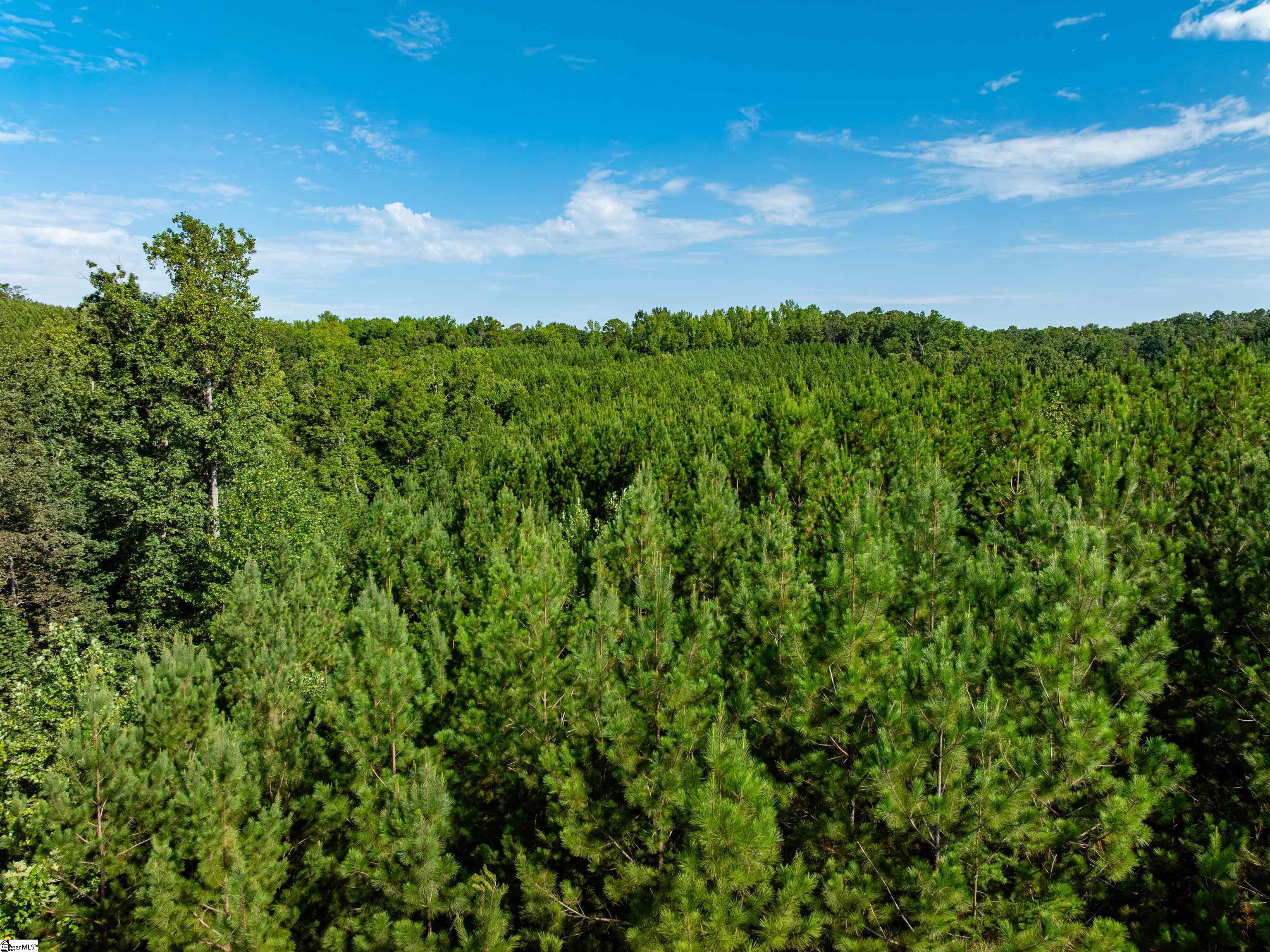 03 Bayshore Drive Seneca, SC 29672
