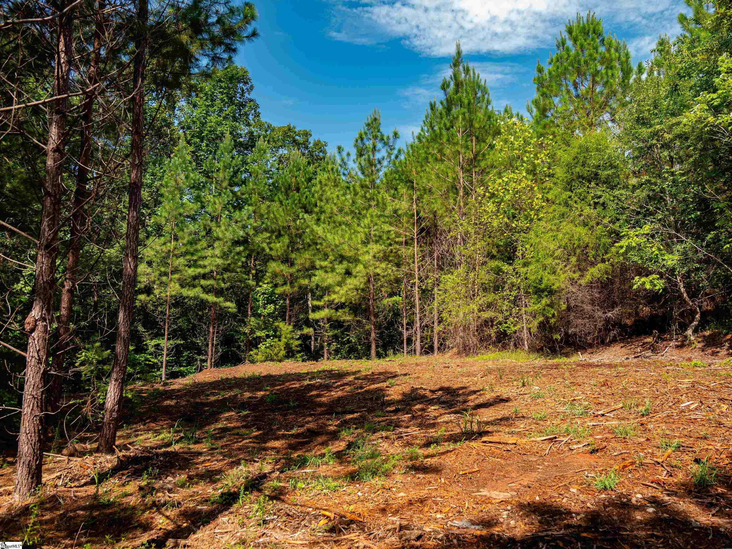 03 Bayshore Drive Seneca, SC 29672