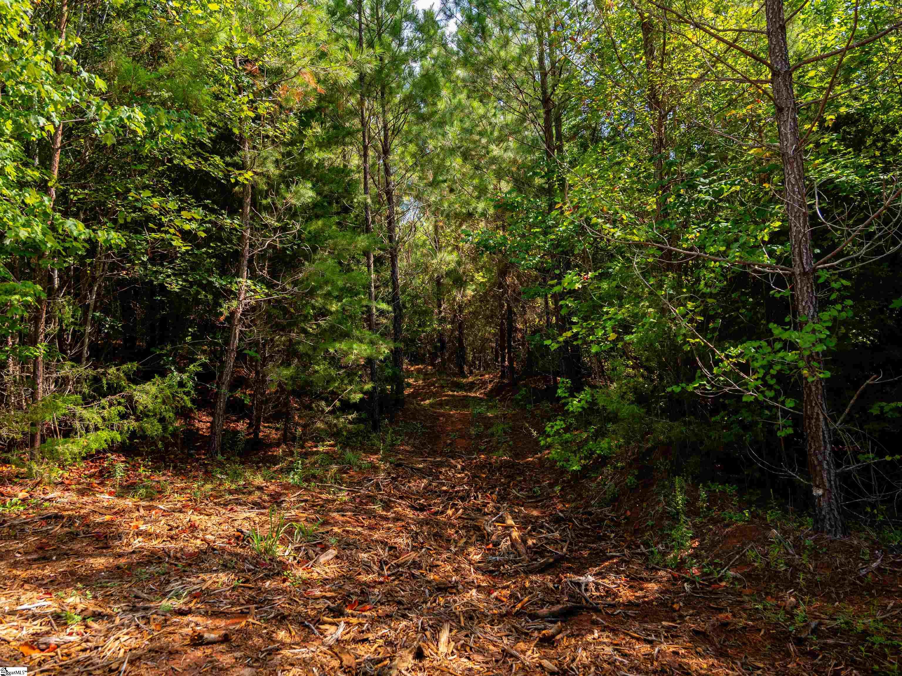 03 Bayshore Drive Seneca, SC 29672