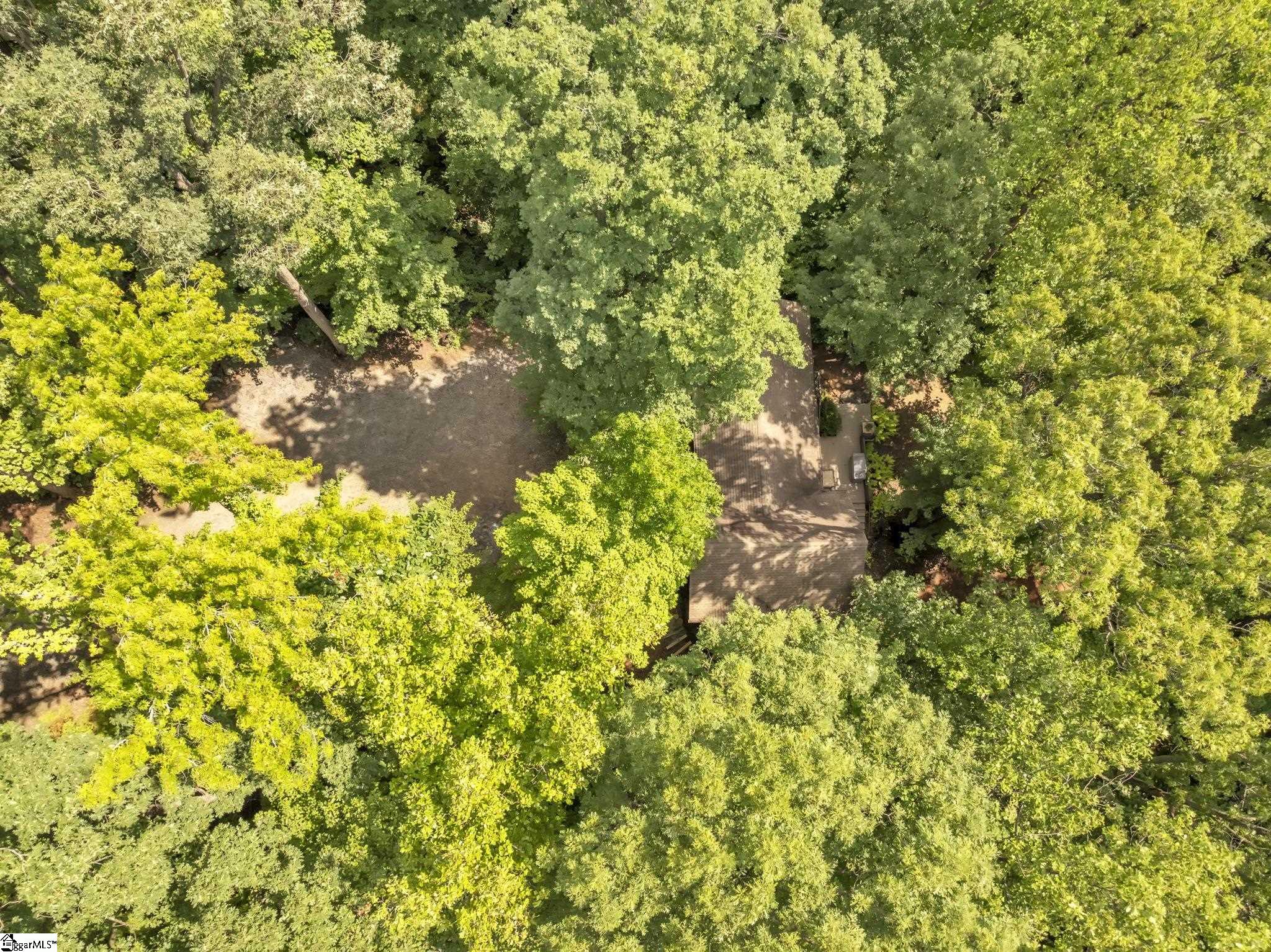 1220 Skyuka Mountain Road Columbus, NC 28722