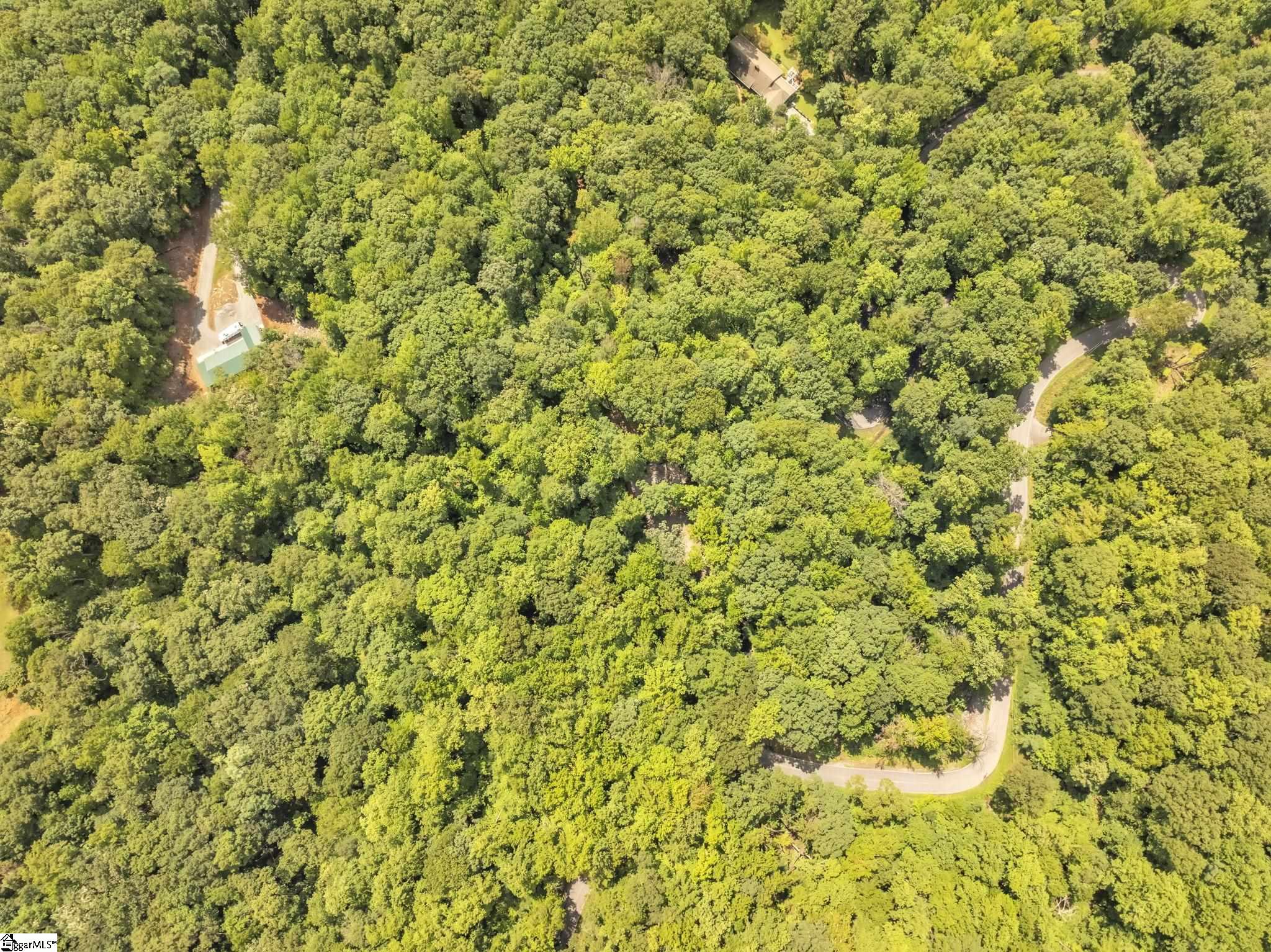 1220 Skyuka Mountain Road Columbus, NC 28722