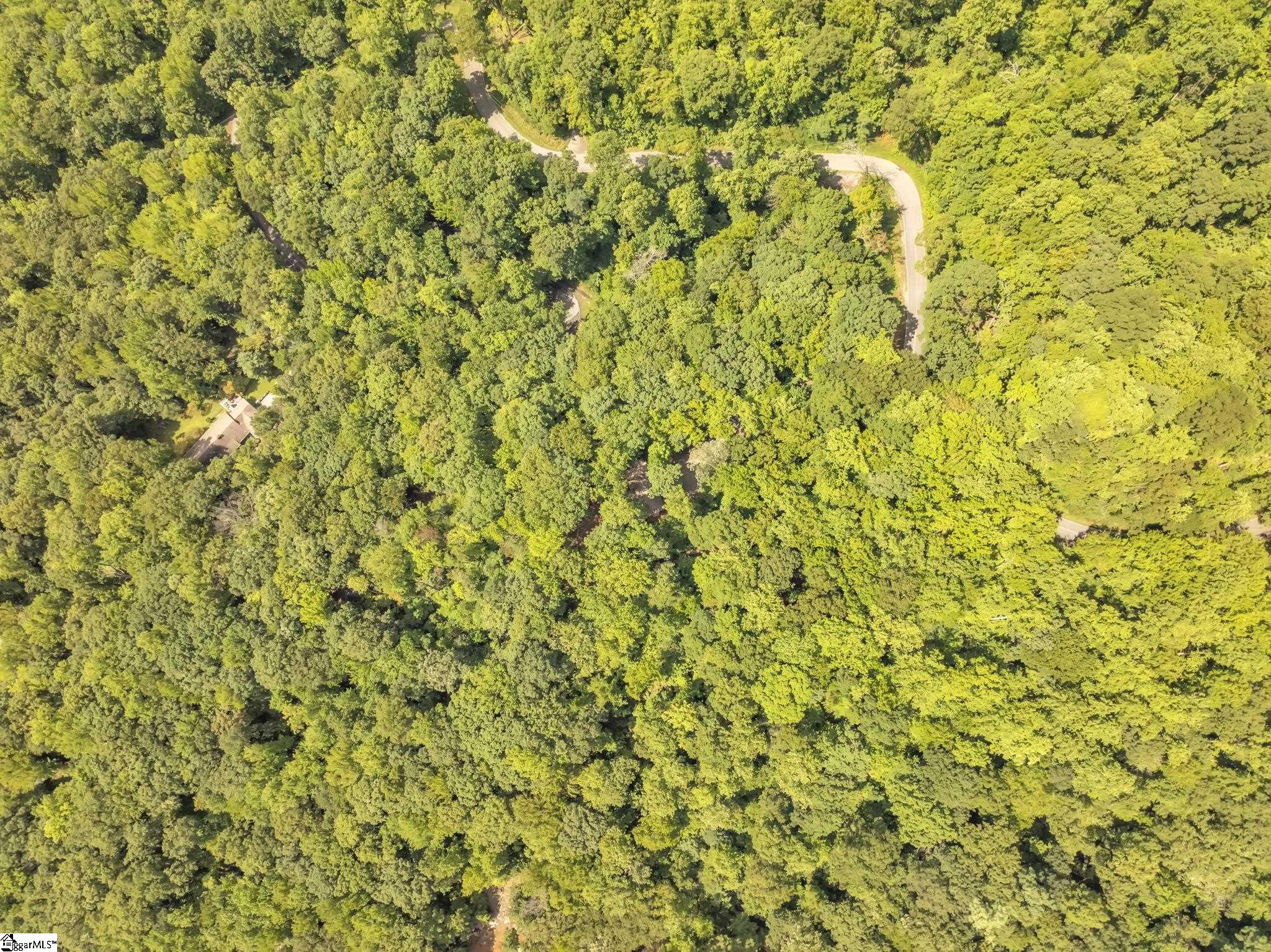 1220 Skyuka Mountain Road Columbus, NC 28722