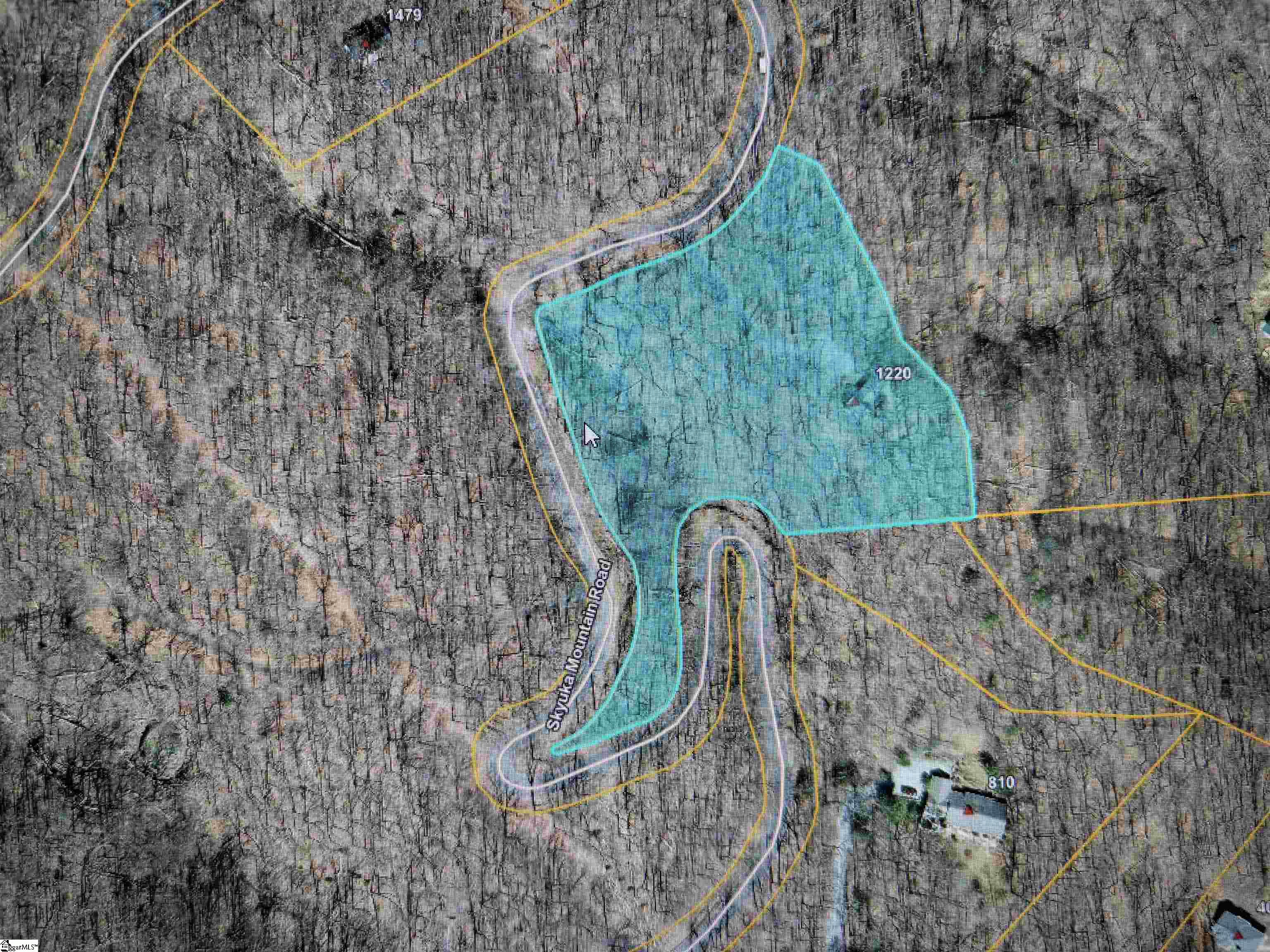 1220 Skyuka Mountain Road Columbus, NC 28722