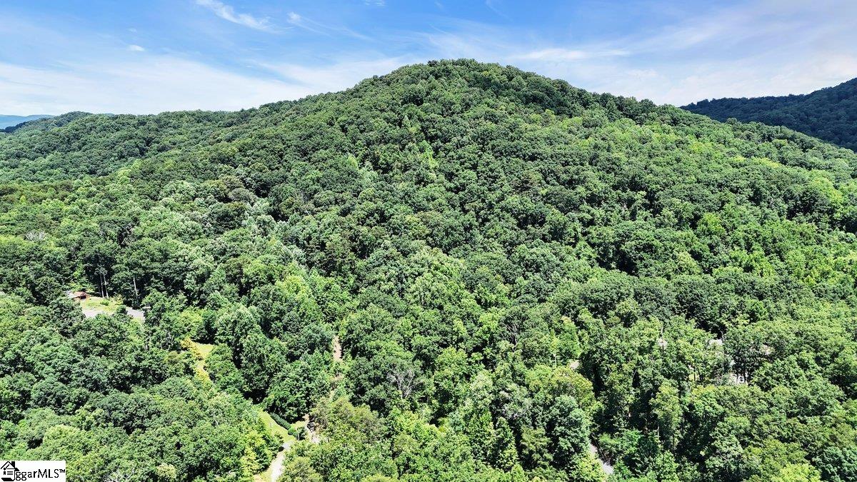 146 Glassy Falls Trail Travelers Rest, SC 29690