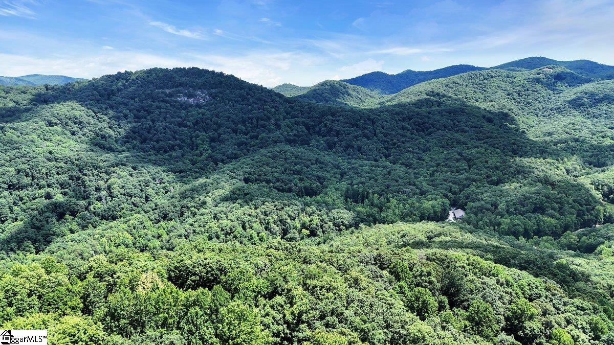 146 Glassy Falls Trail Travelers Rest, SC 29690