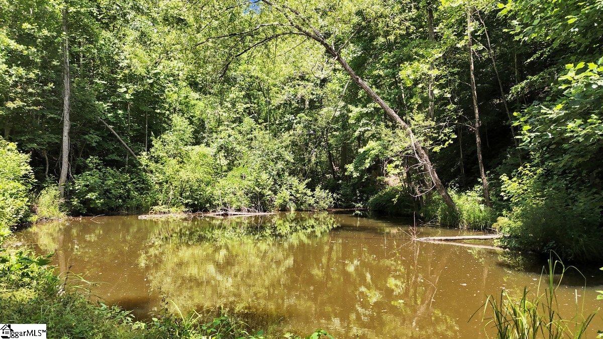 146 Glassy Falls Trail Travelers Rest, SC 29690