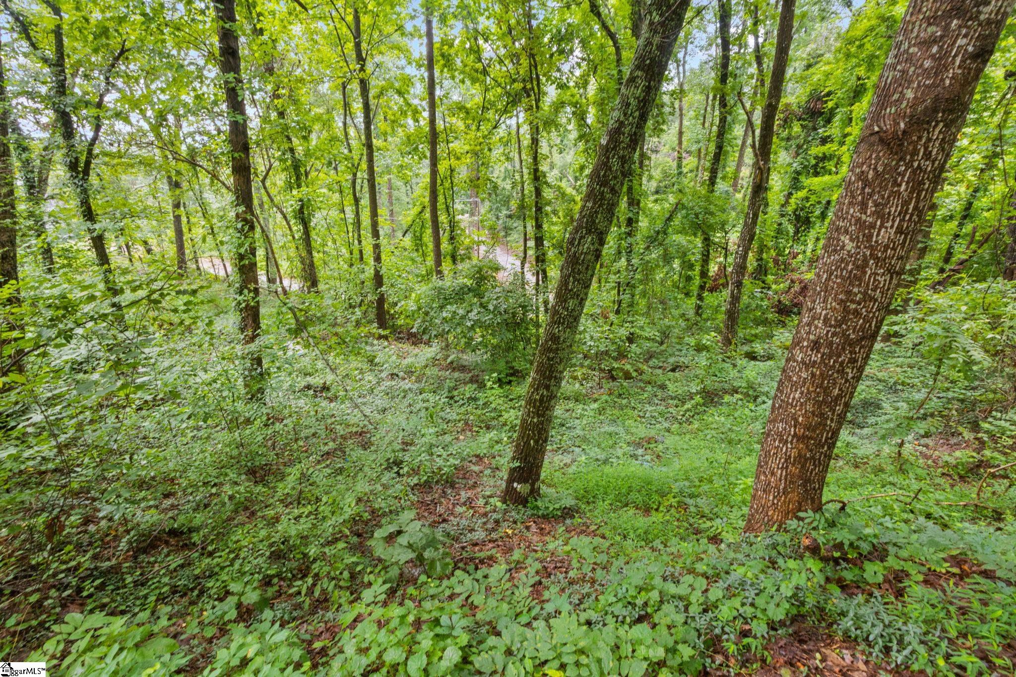 4841 Chestnut Ridge Road Greenville, SC 29609