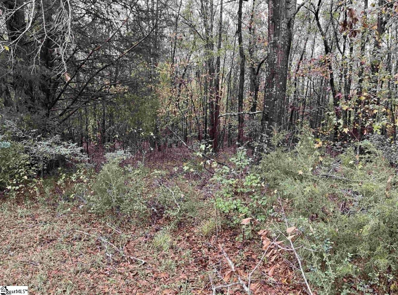 01 Evergreen Church Road Starr, SC 29684