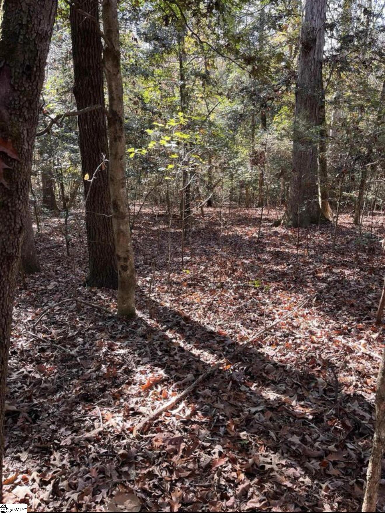 01 Evergreen Church Road Starr, SC 29684