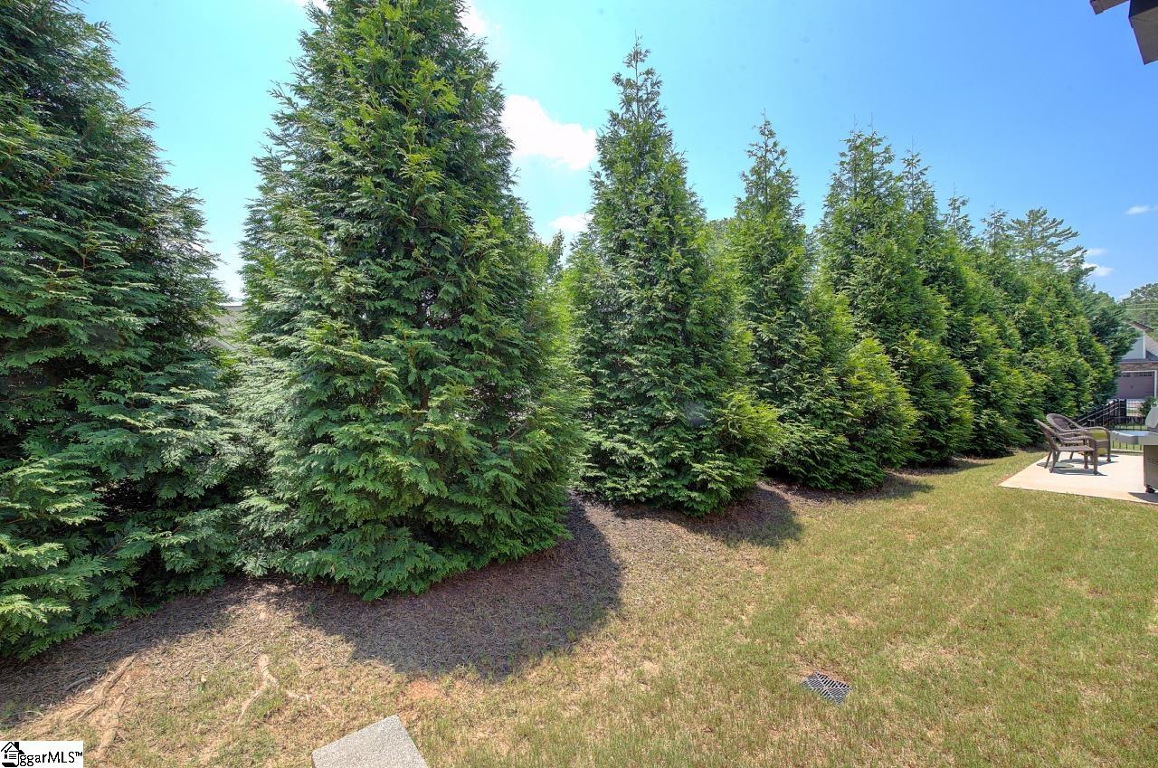 9 Bromwell Way Easley, SC 29642