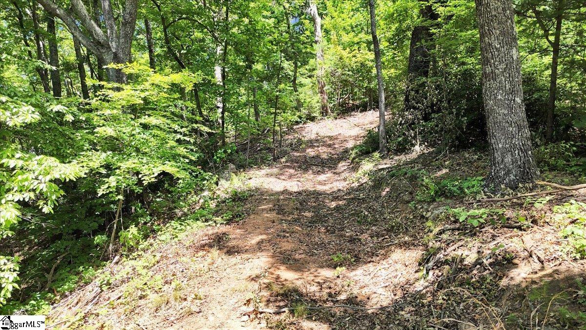 146 Glassy Falls Trail Travelers Rest, SC 29690
