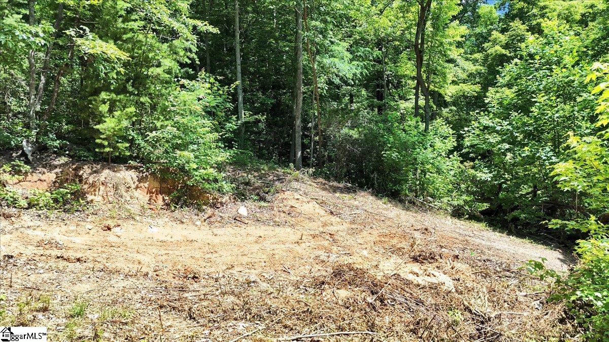 146 Glassy Falls Trail Travelers Rest, SC 29690