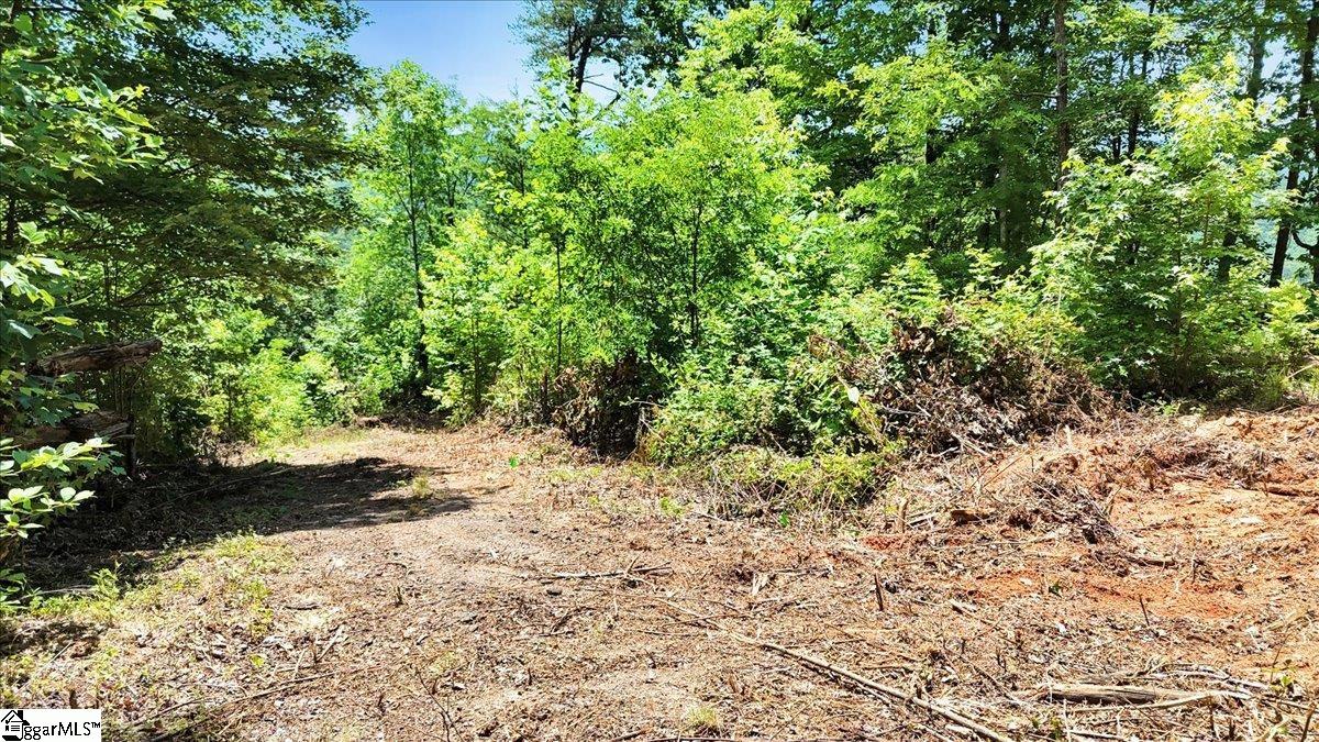 146 Glassy Falls Trail Travelers Rest, SC 29690