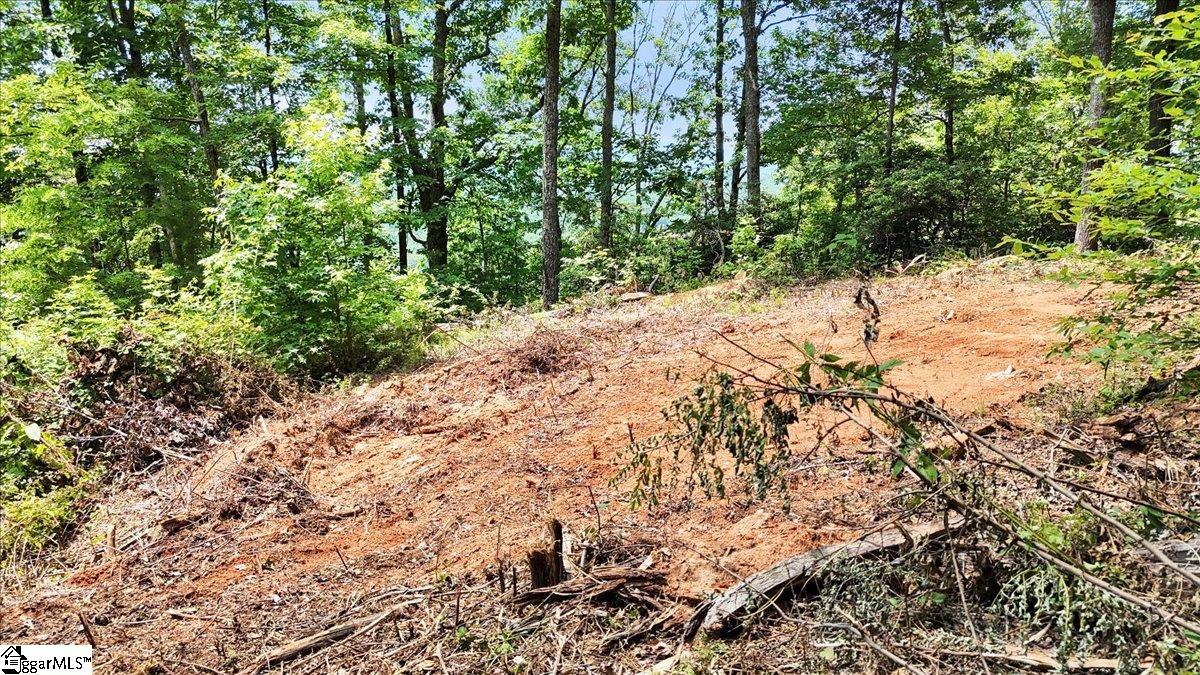 146 Glassy Falls Trail Travelers Rest, SC 29690
