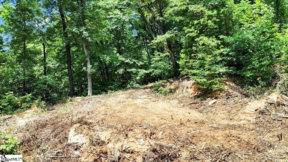 146 Glassy Falls Trail Travelers Rest, SC 29690