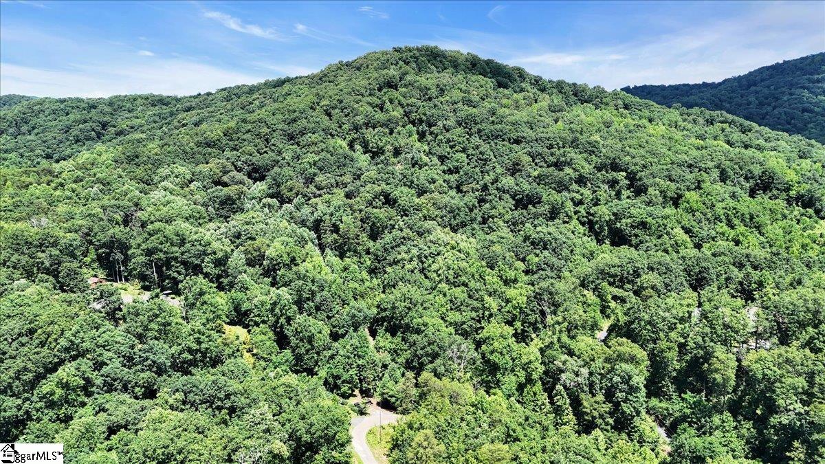 146 Glassy Falls Trail Travelers Rest, SC 29690