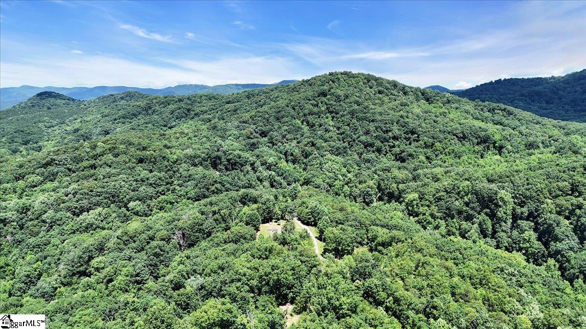 146 Glassy Falls Trail Travelers Rest, SC 29690