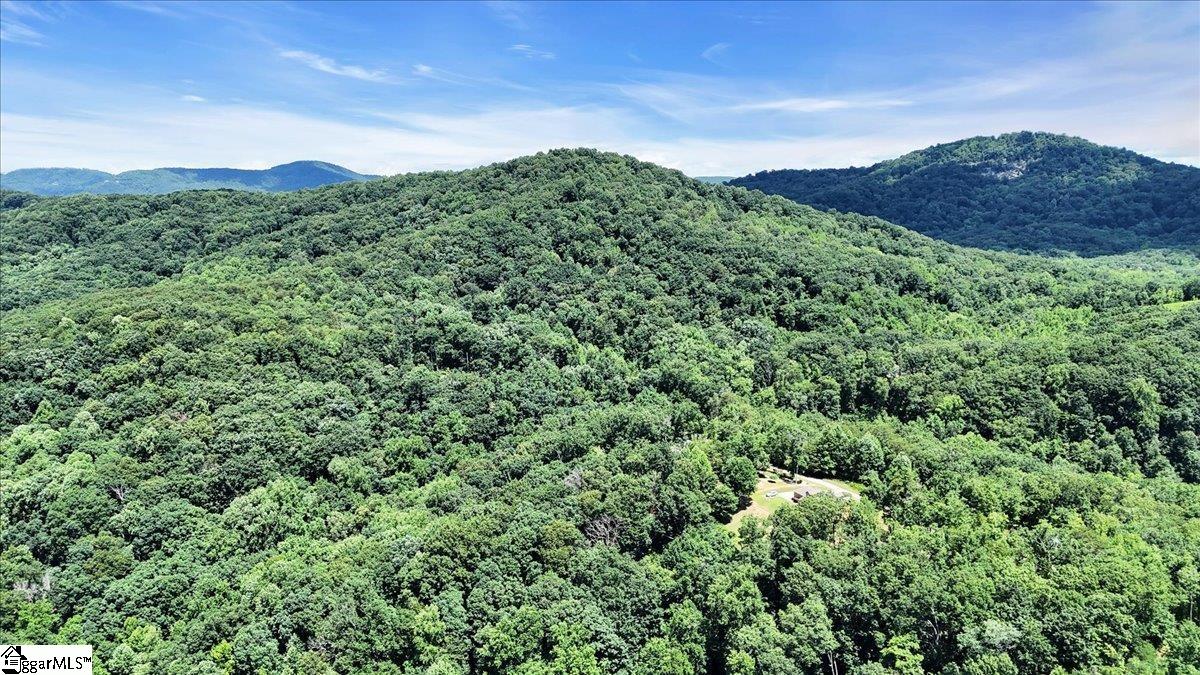146 Glassy Falls Trail Travelers Rest, SC 29690