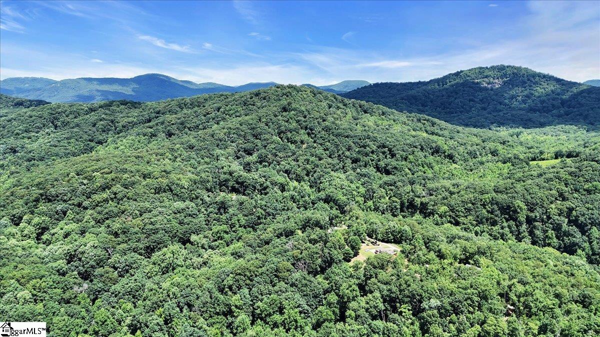 146 Glassy Falls Trail Travelers Rest, SC 29690