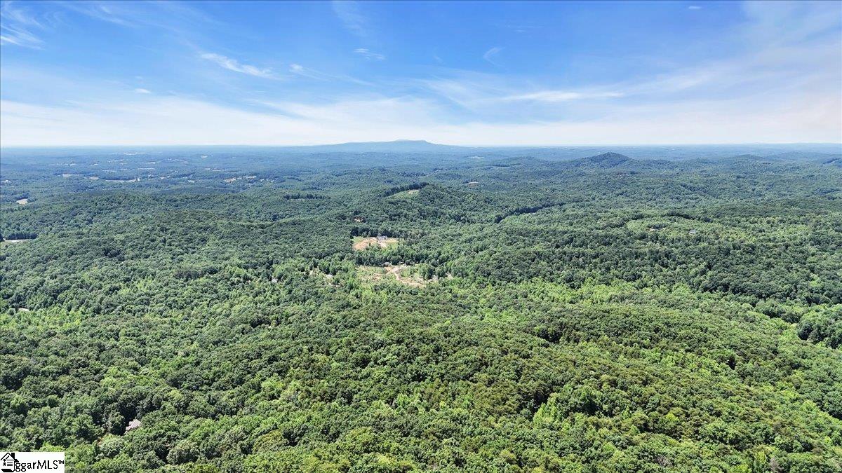 146 Glassy Falls Trail Travelers Rest, SC 29690