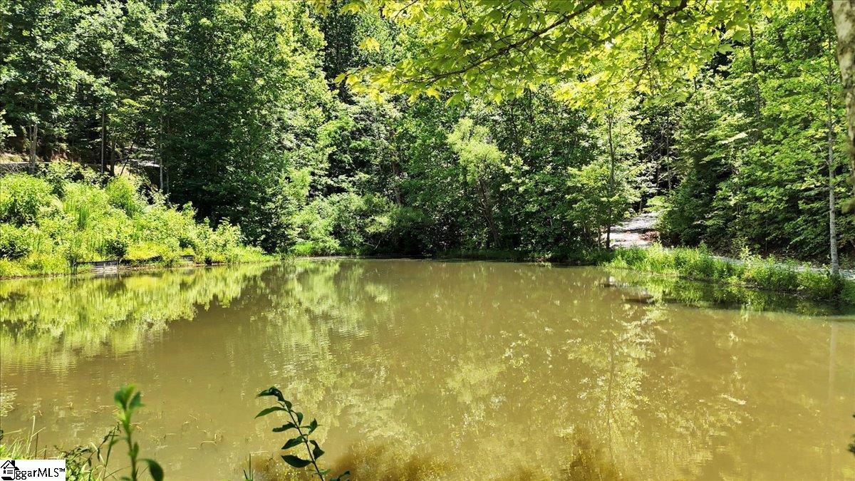 146 Glassy Falls Trail Travelers Rest, SC 29690