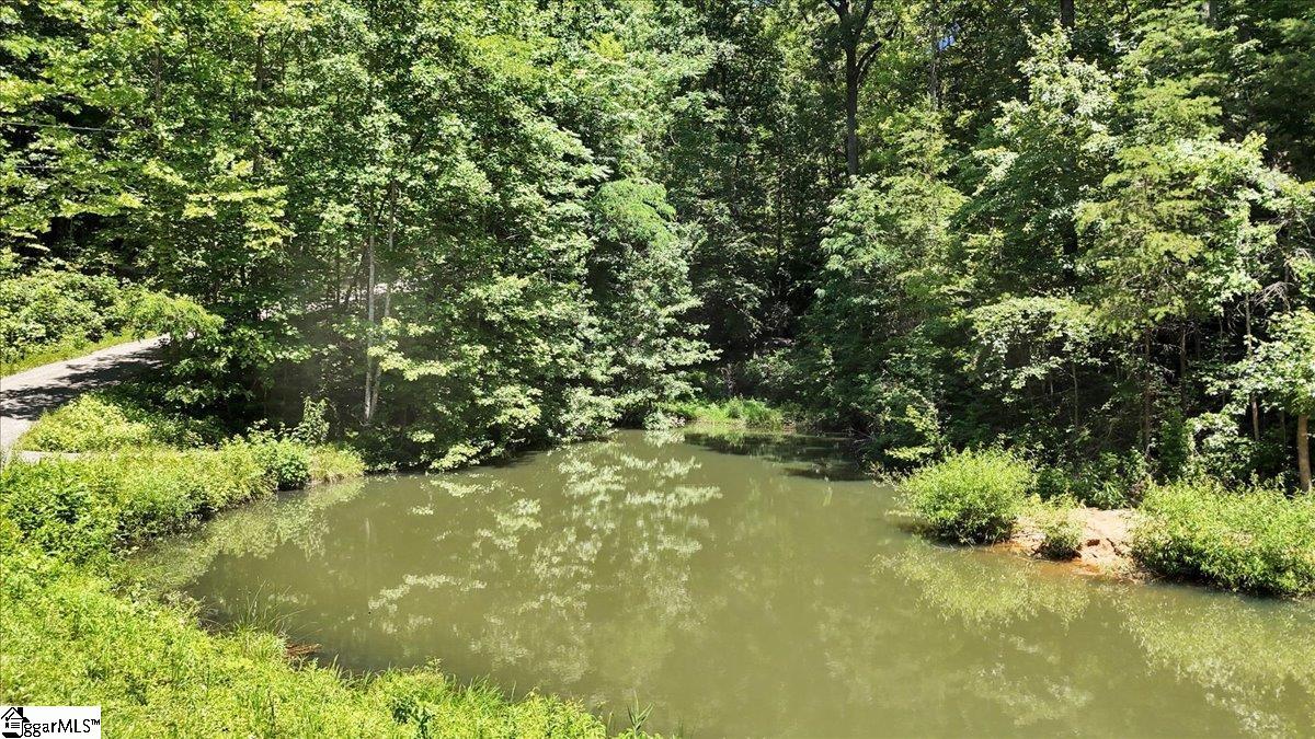 146 Glassy Falls Trail Travelers Rest, SC 29690