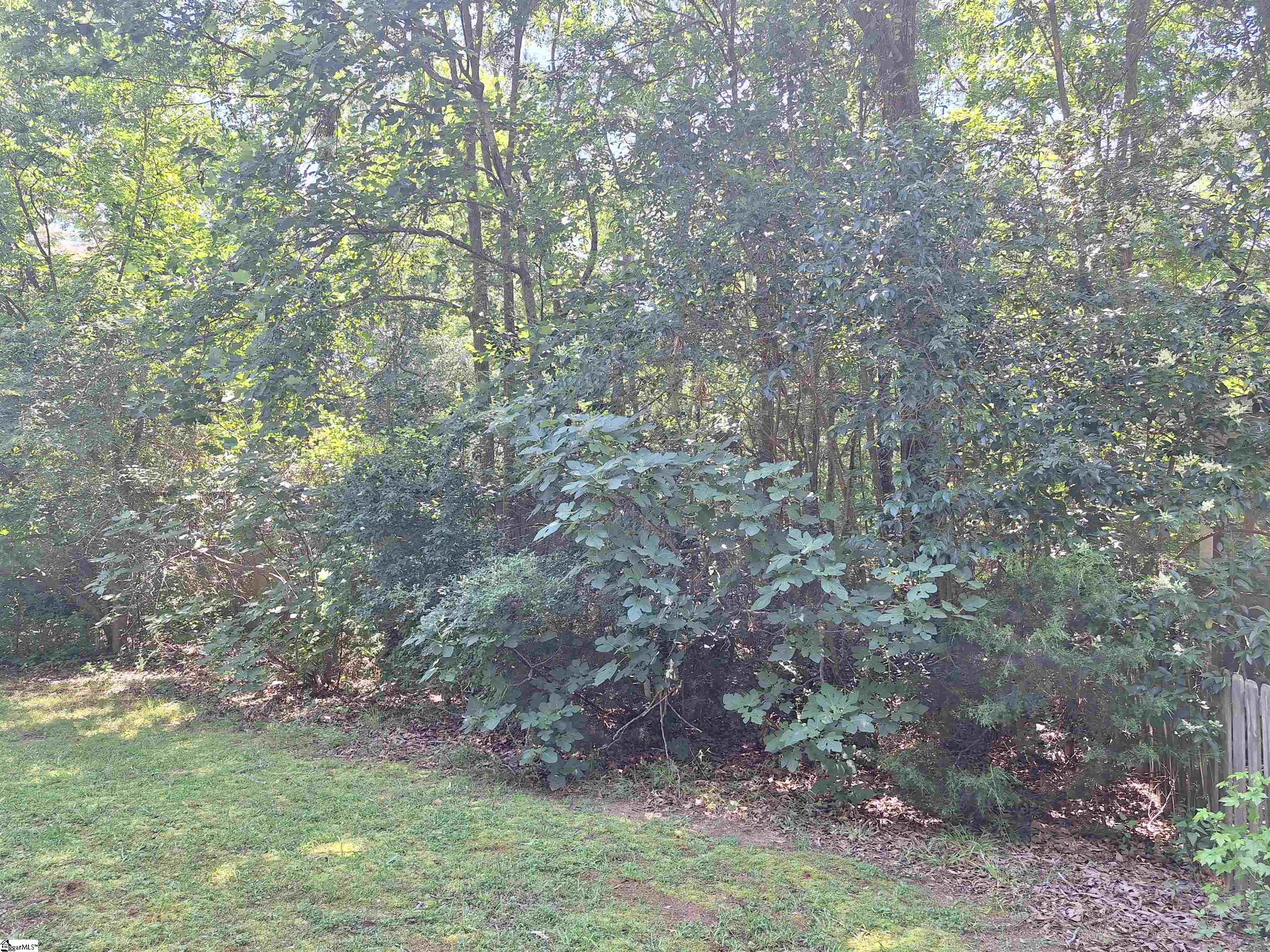 107 Pine Road Laurens, SC 29360