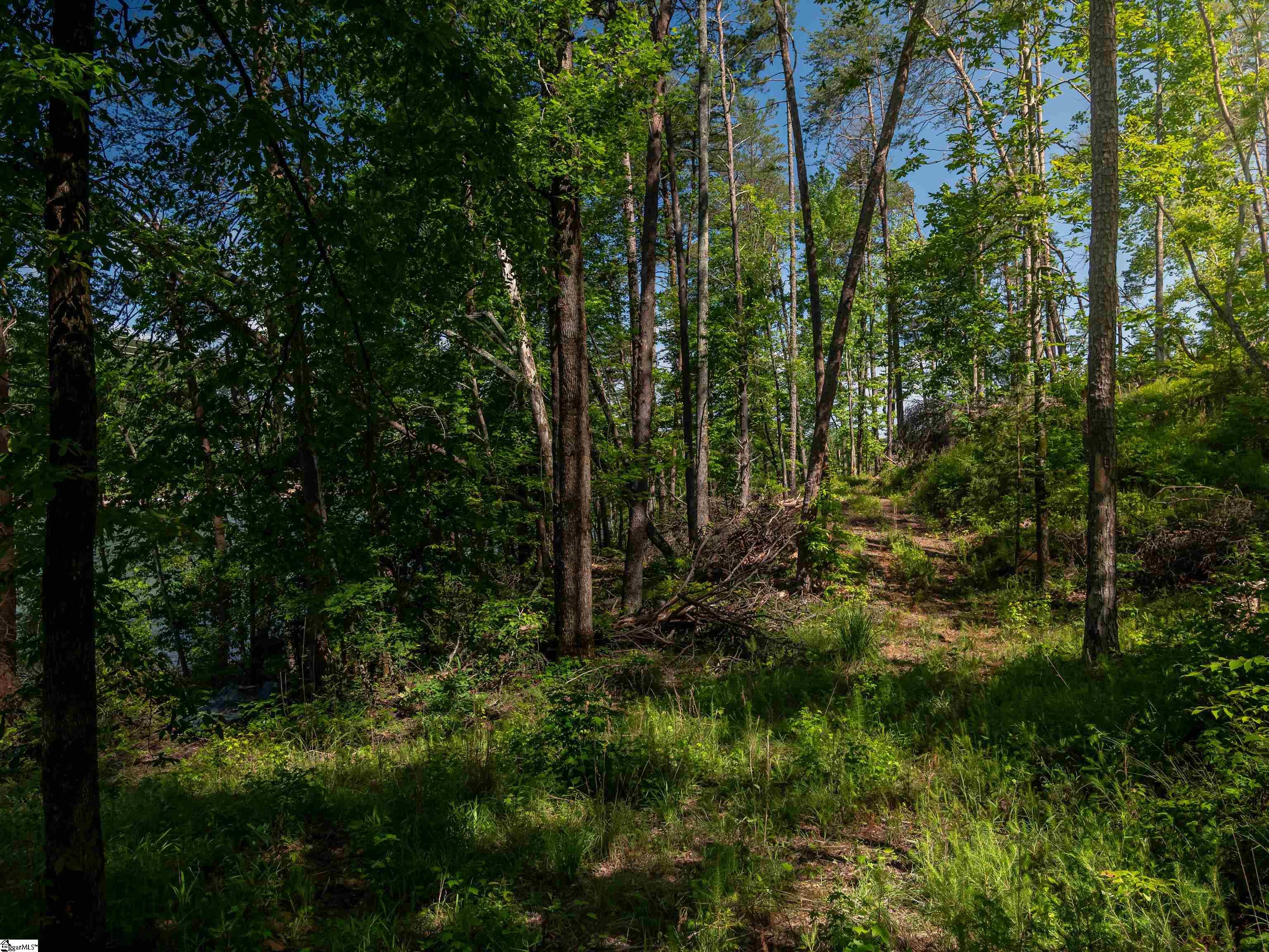 00 Old Keowee Church Road Six Mile, SC 29682