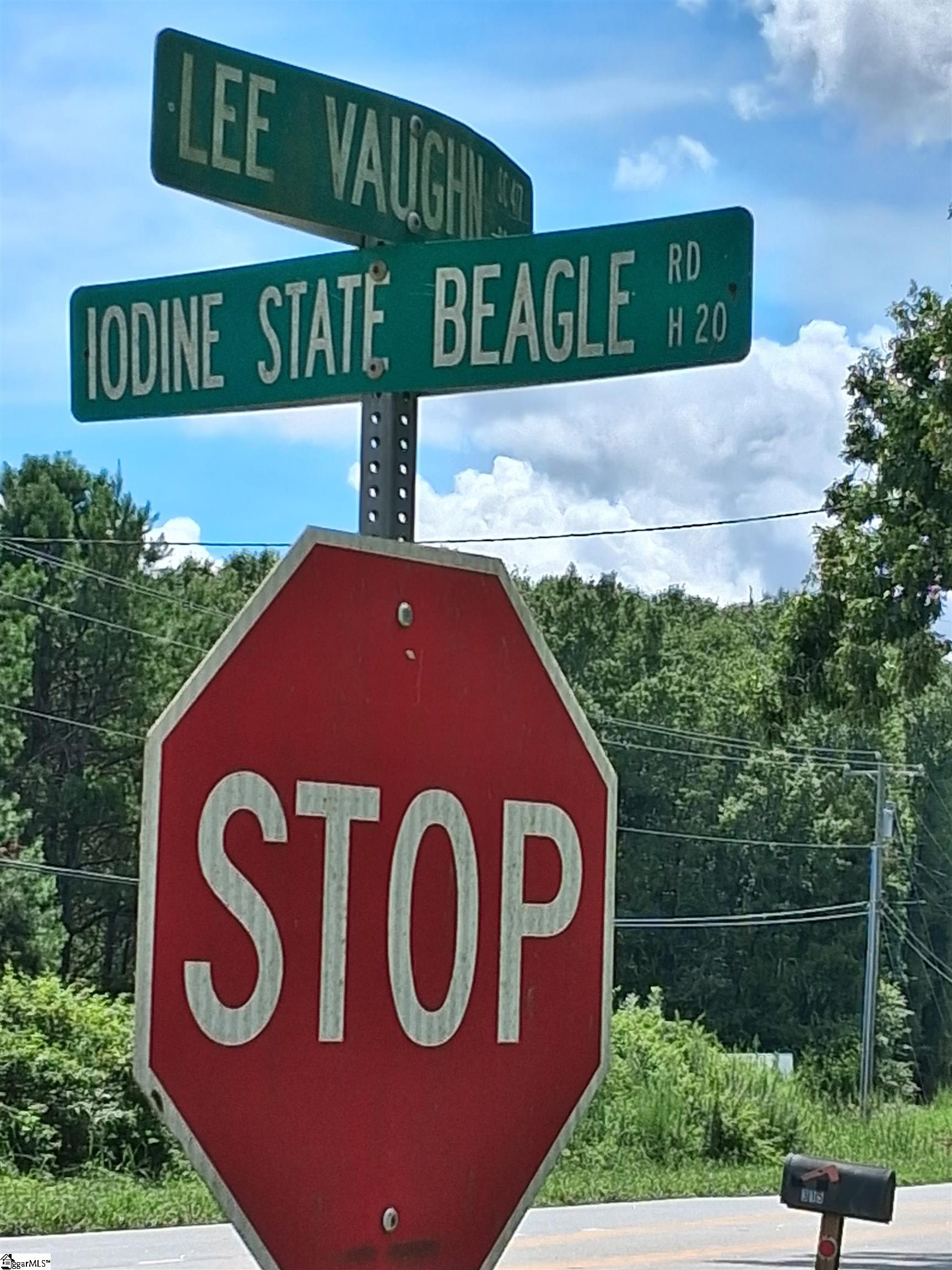 117 Iodine State Beagle Road Simpsonville, SC 29681