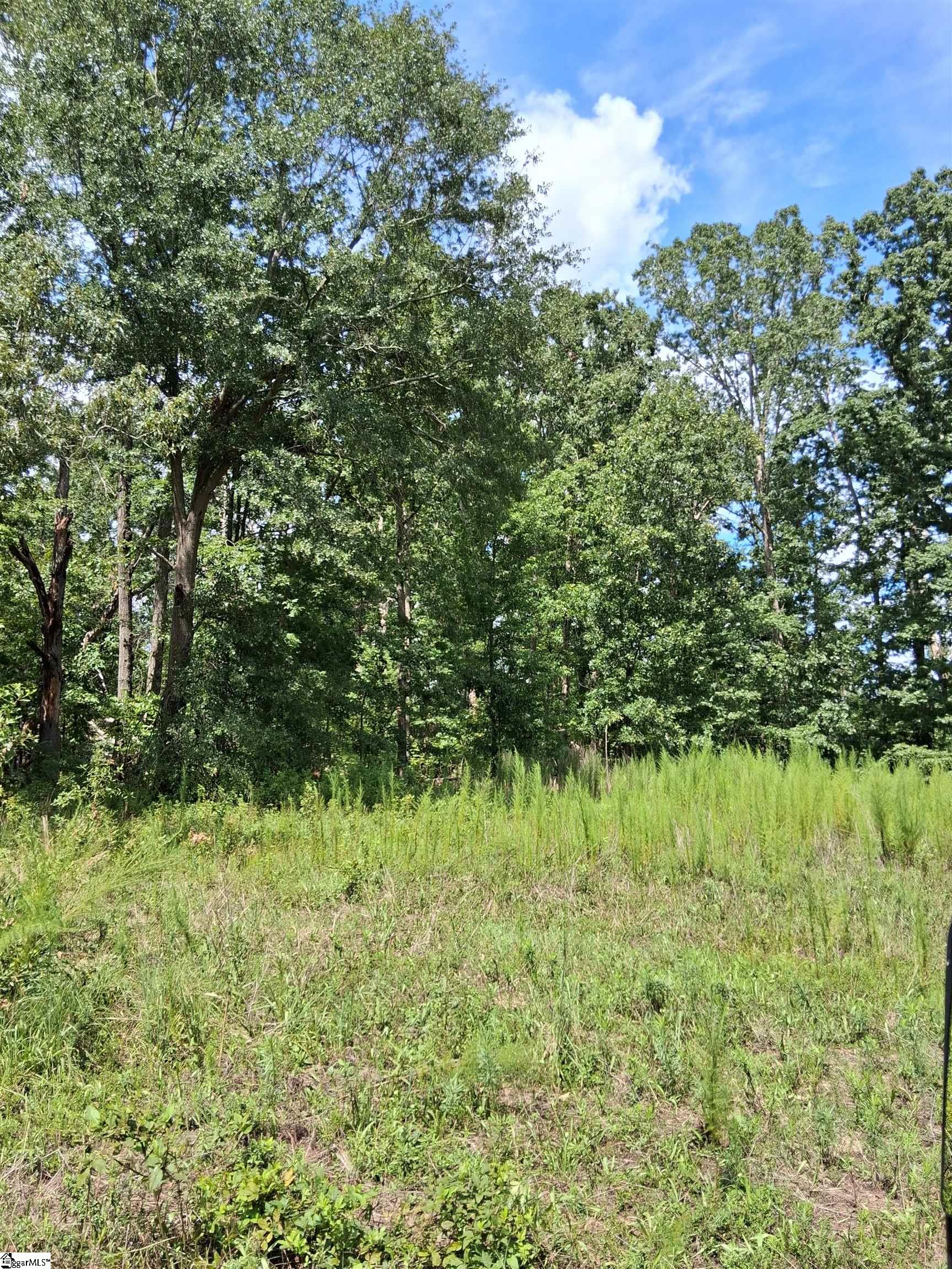 117 Iodine State Beagle Road Simpsonville, SC 29681